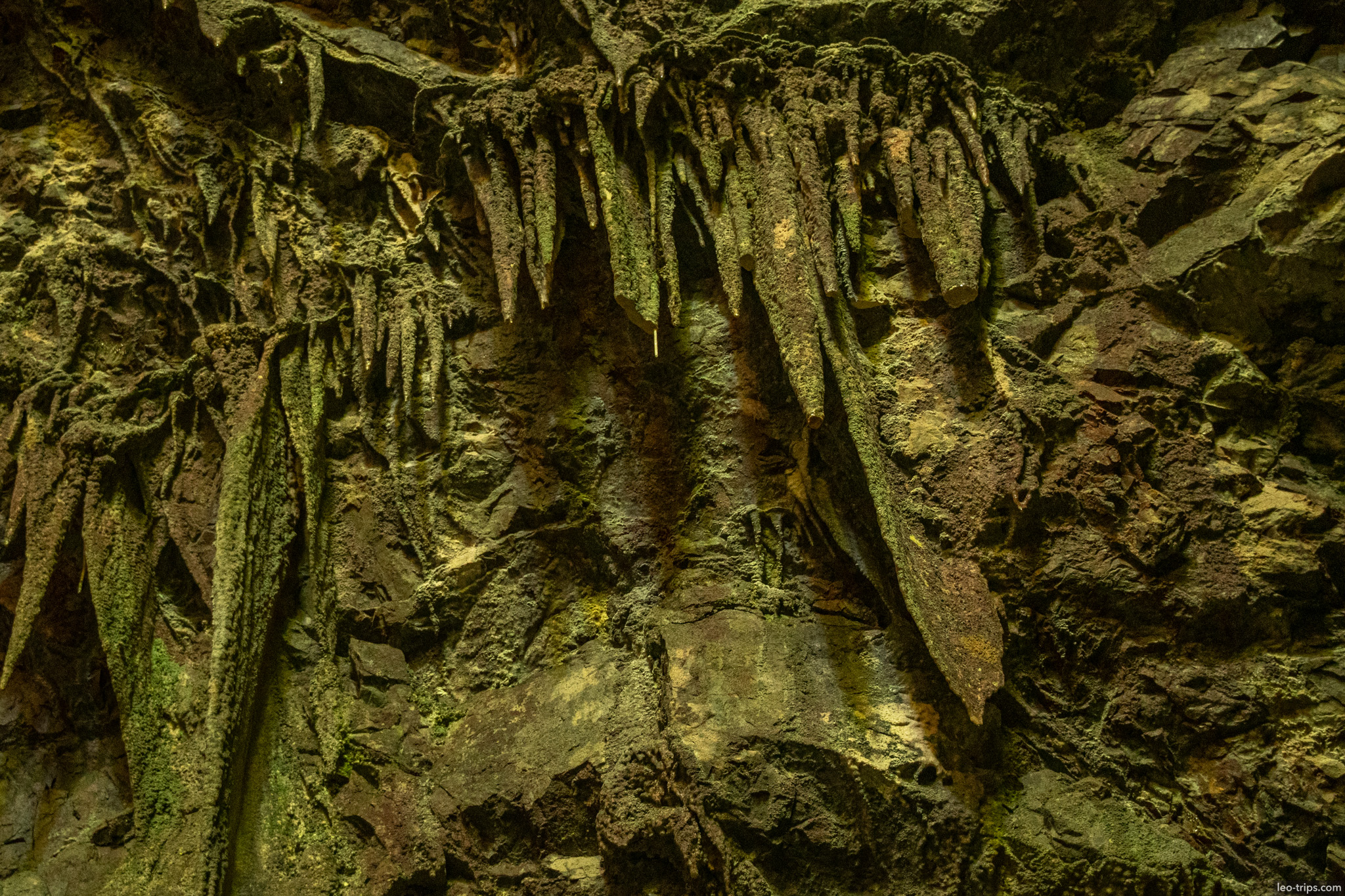 mossy pointed stalactites cave wall gruta do lago azul gruta do lago azul