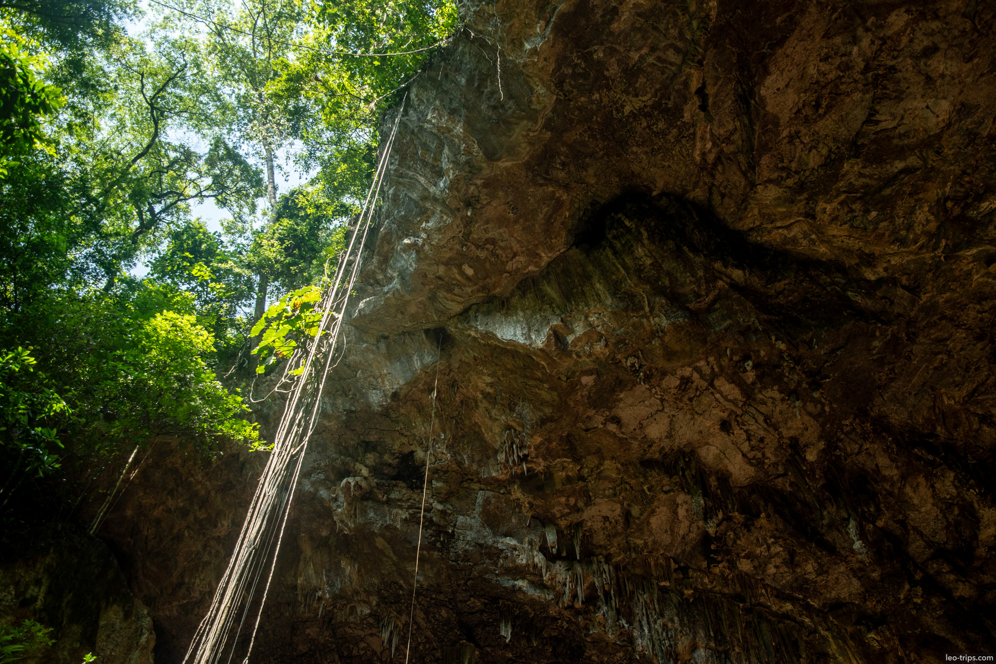 sinkhole rock overhang with hanging roots gruta do lago azul gruta do lago azul