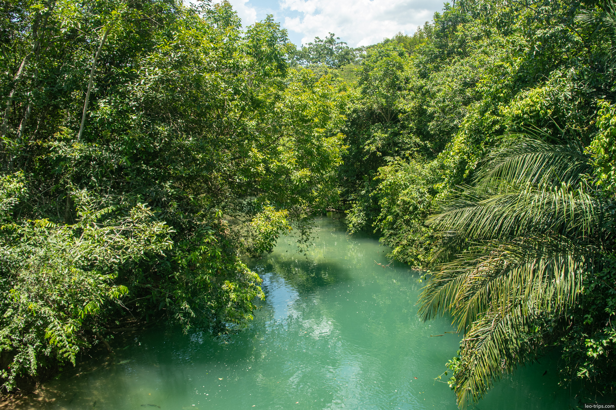 turquoise river through tropical forest bonito gruta do lago azul