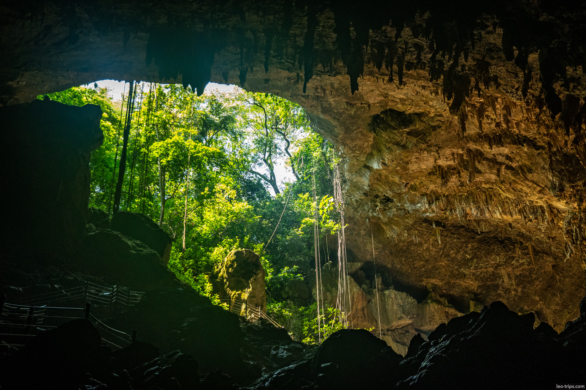 view from inside cave to forest entrance gruta do lago azul gruta do lago azul