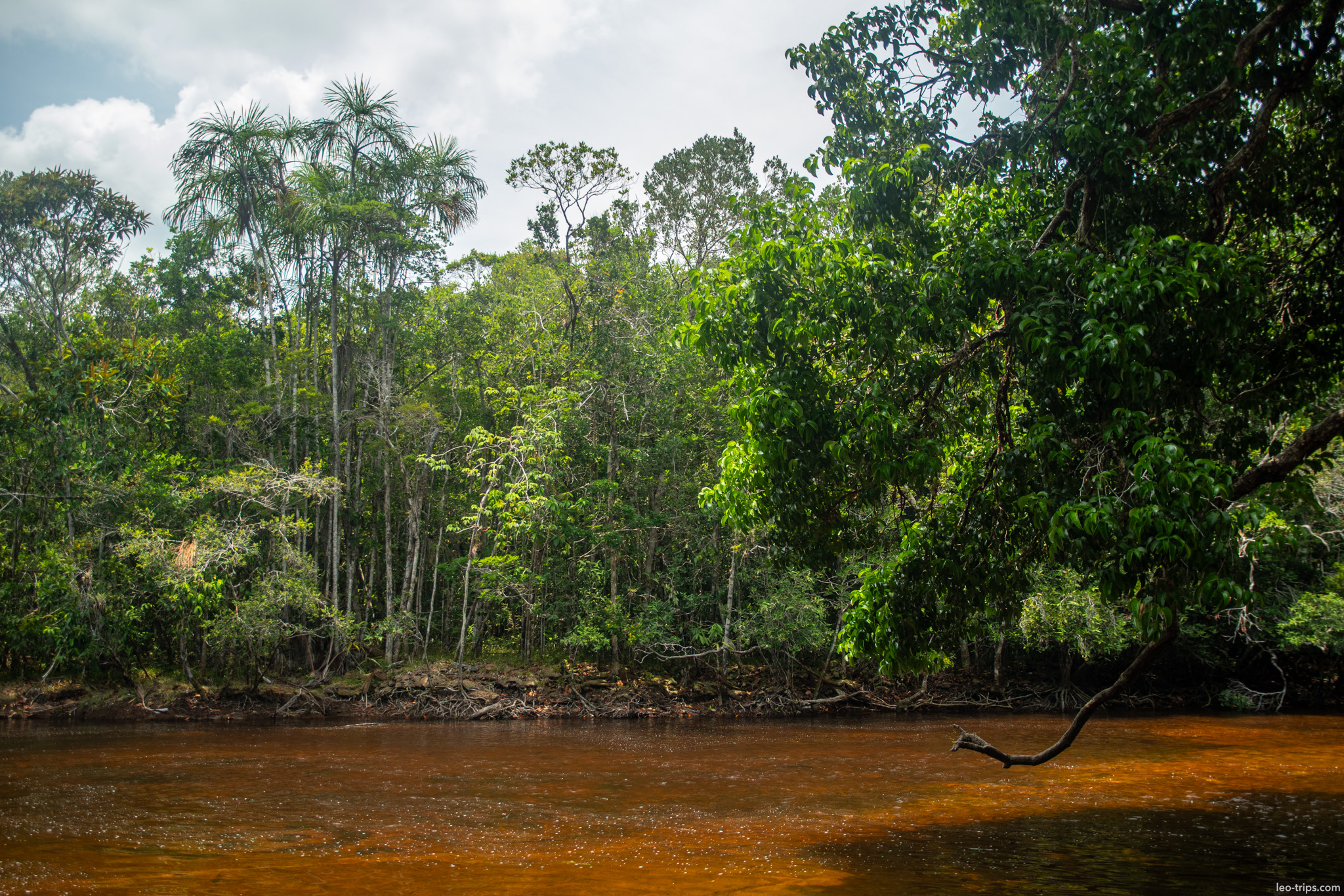 brown river dense jungle iracema waterfalls