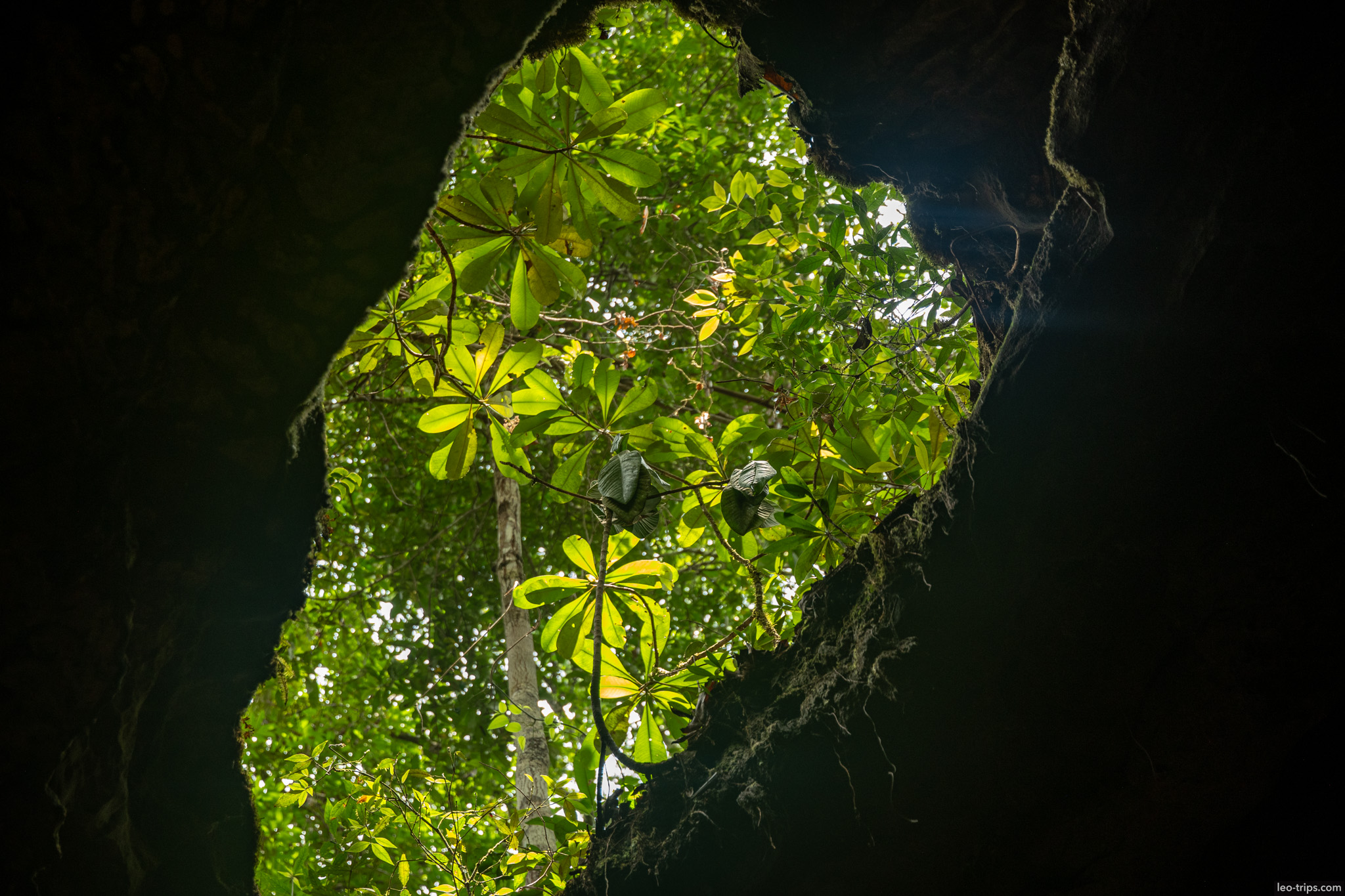 cave opening framing trees iracema waterfalls