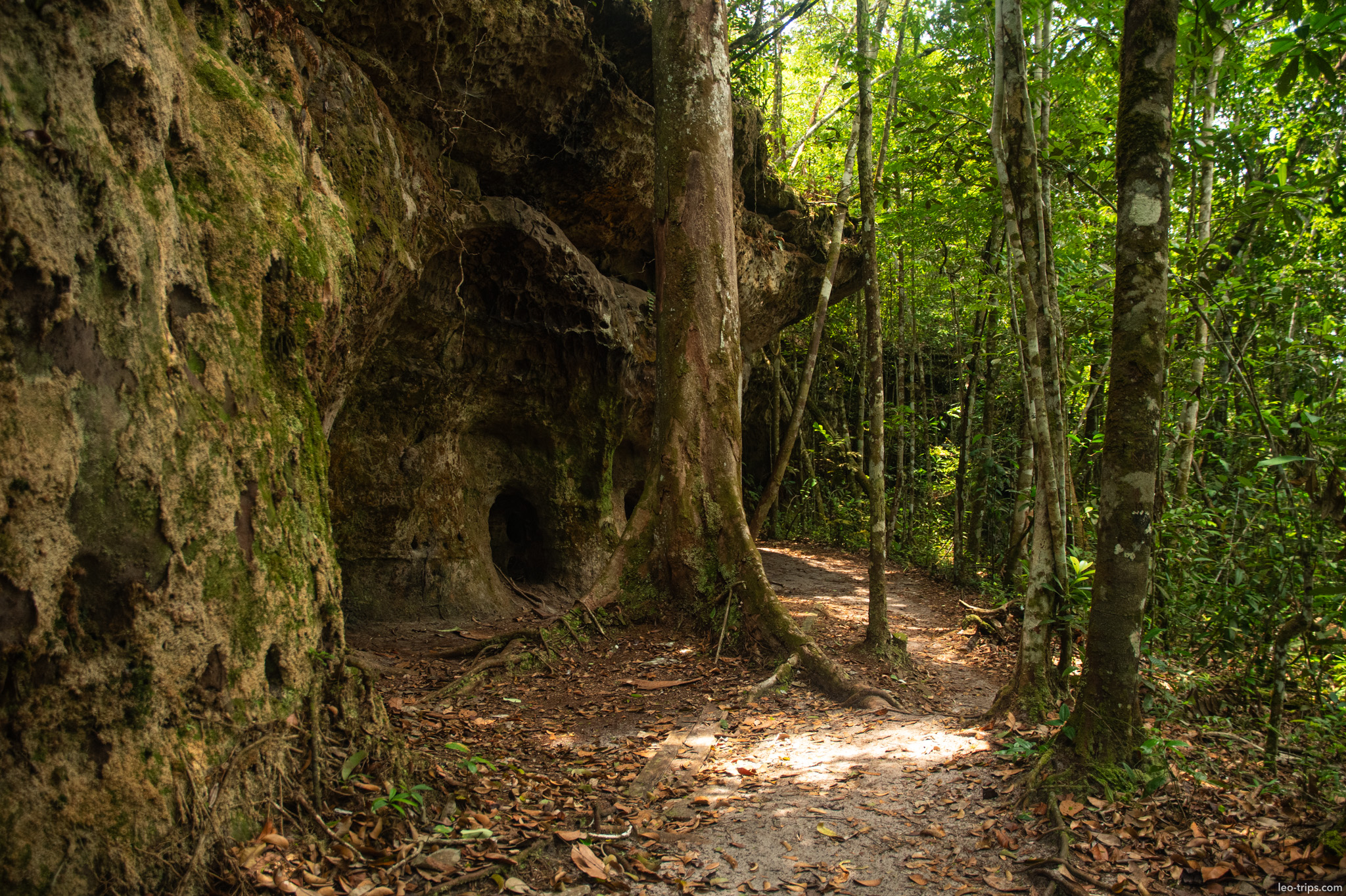 cave opening sunlit forest iracema waterfalls