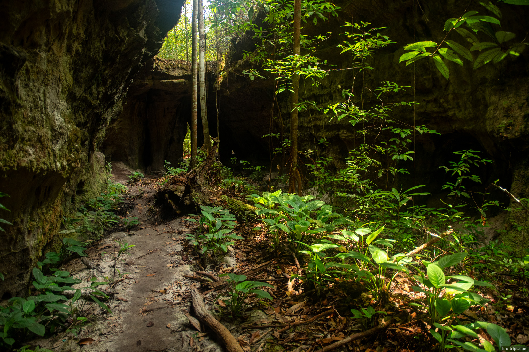 cave pathway lush vegetation iracema waterfalls