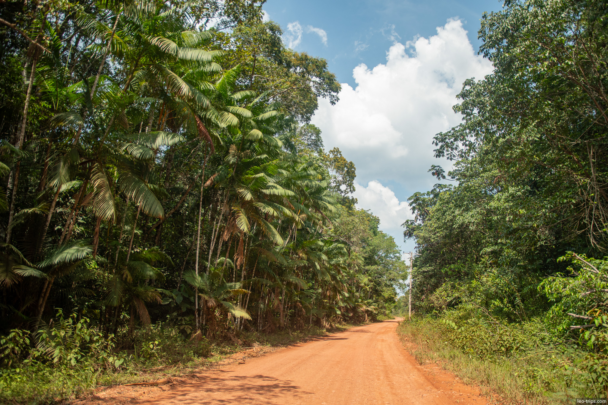 dirt road through forest iracema waterfalls