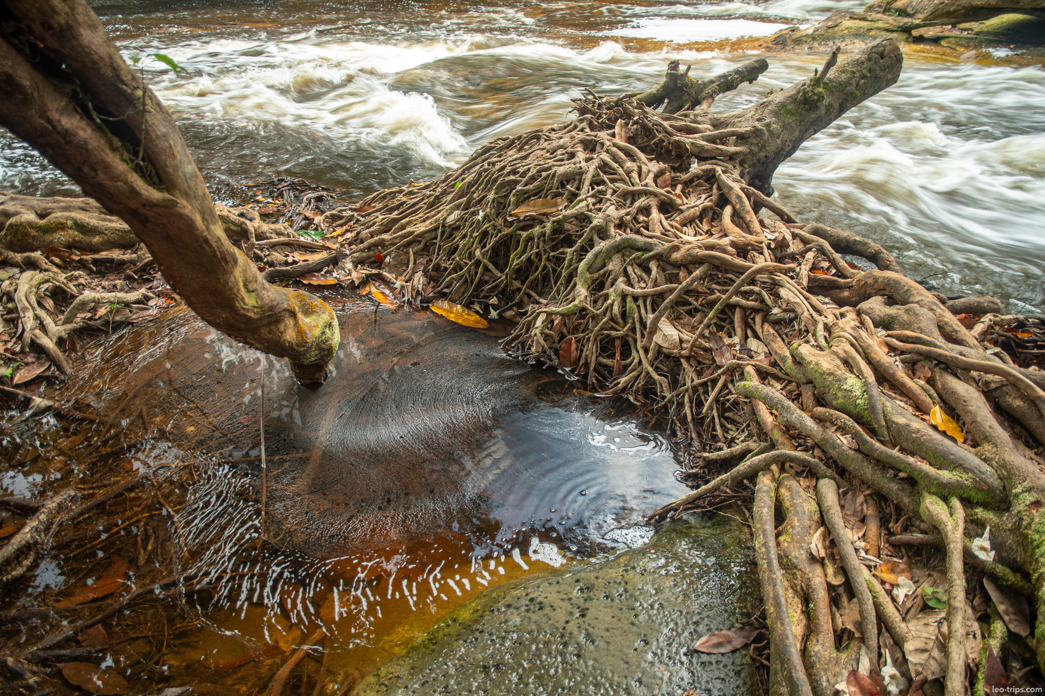 driftwood and debris stream iracema waterfalls