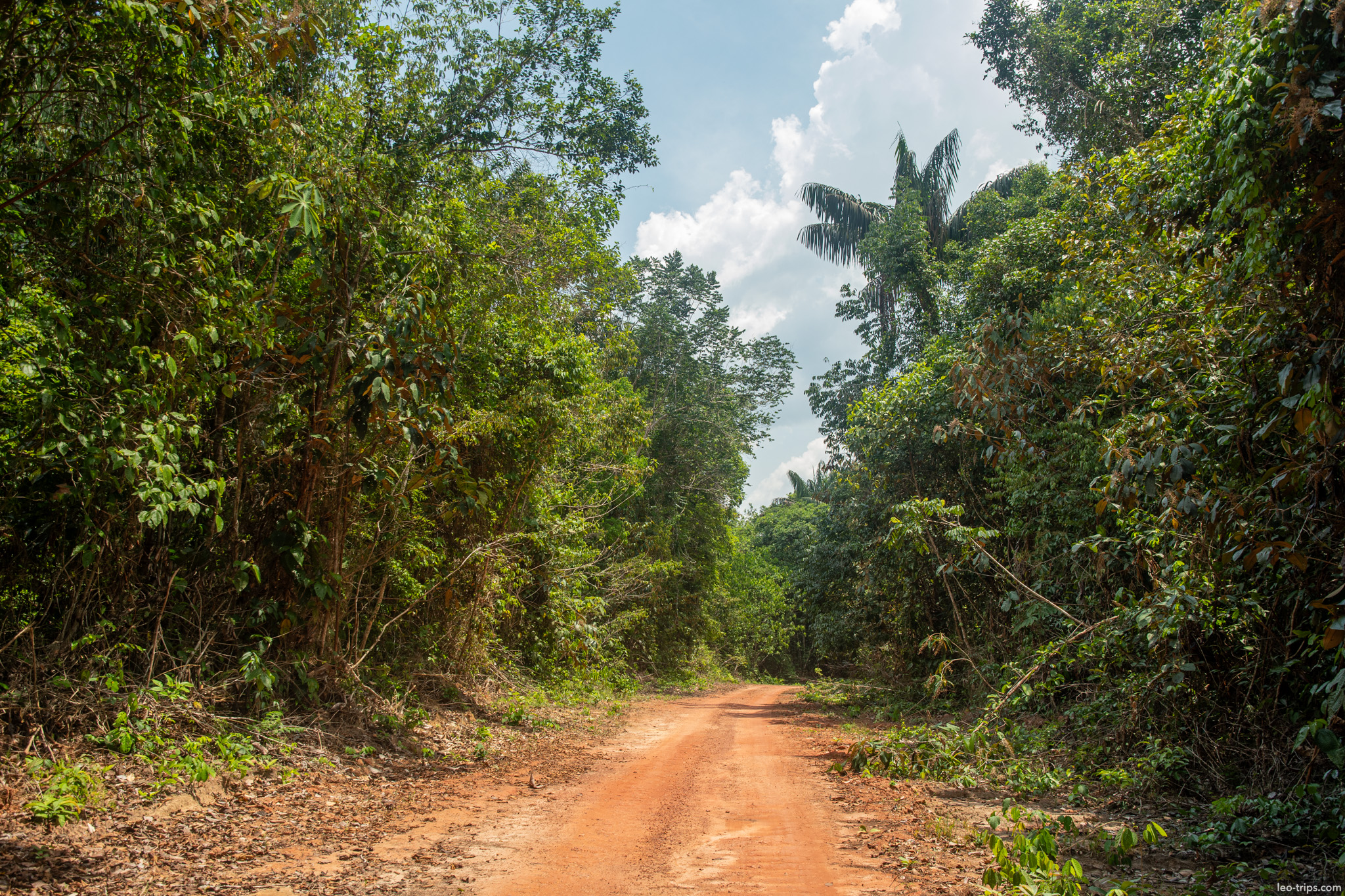 red dirt road jungle iracema waterfalls