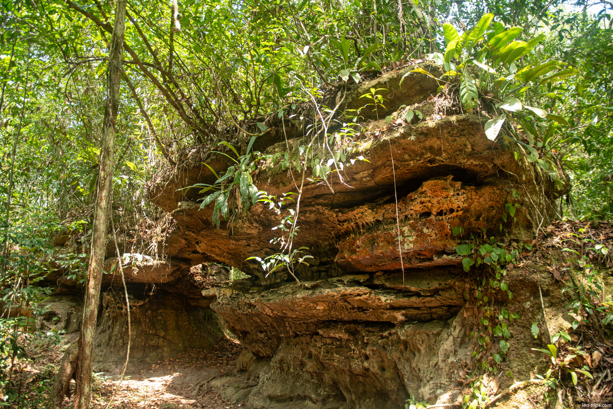 rock overhang forest iracema waterfalls