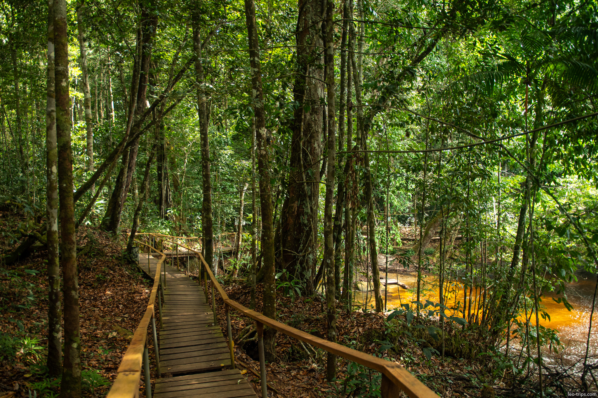 wooden boardwalk through forest iracema waterfalls