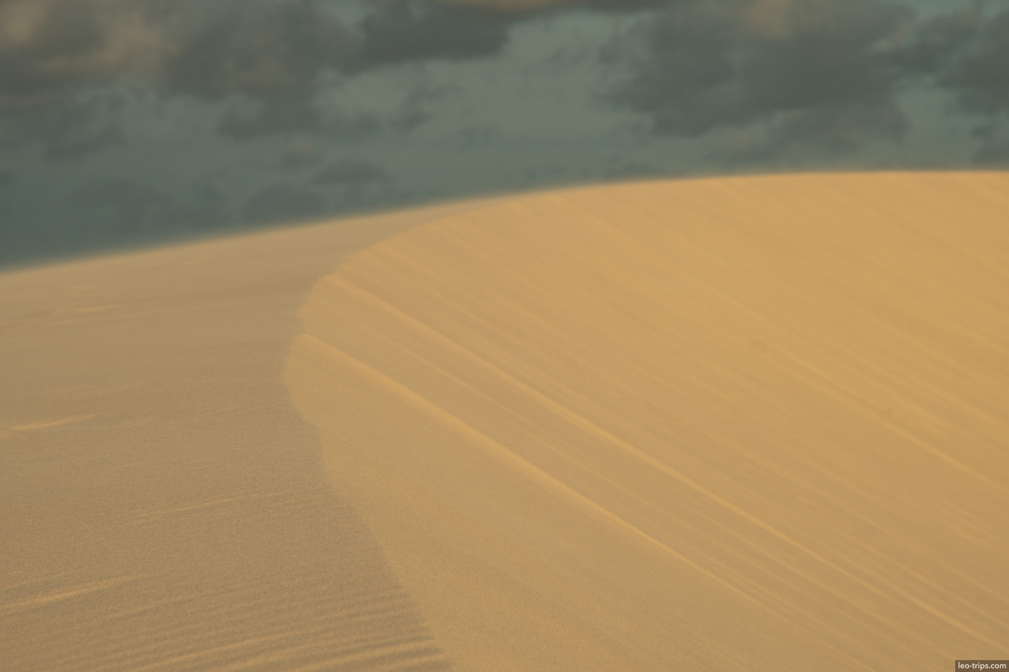 dune crest abstract lines lencois lencois maranhenses