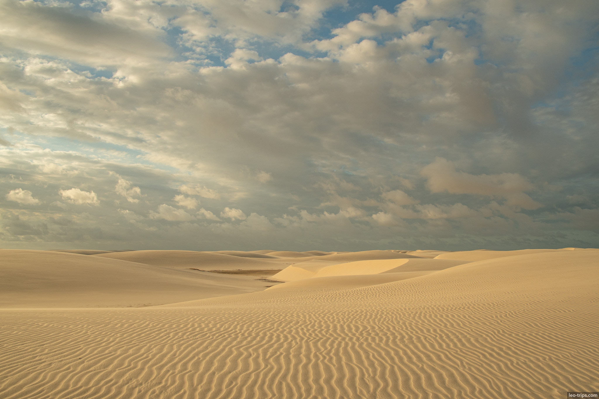 dune landscape golden light ripples lencois lencois maranhenses