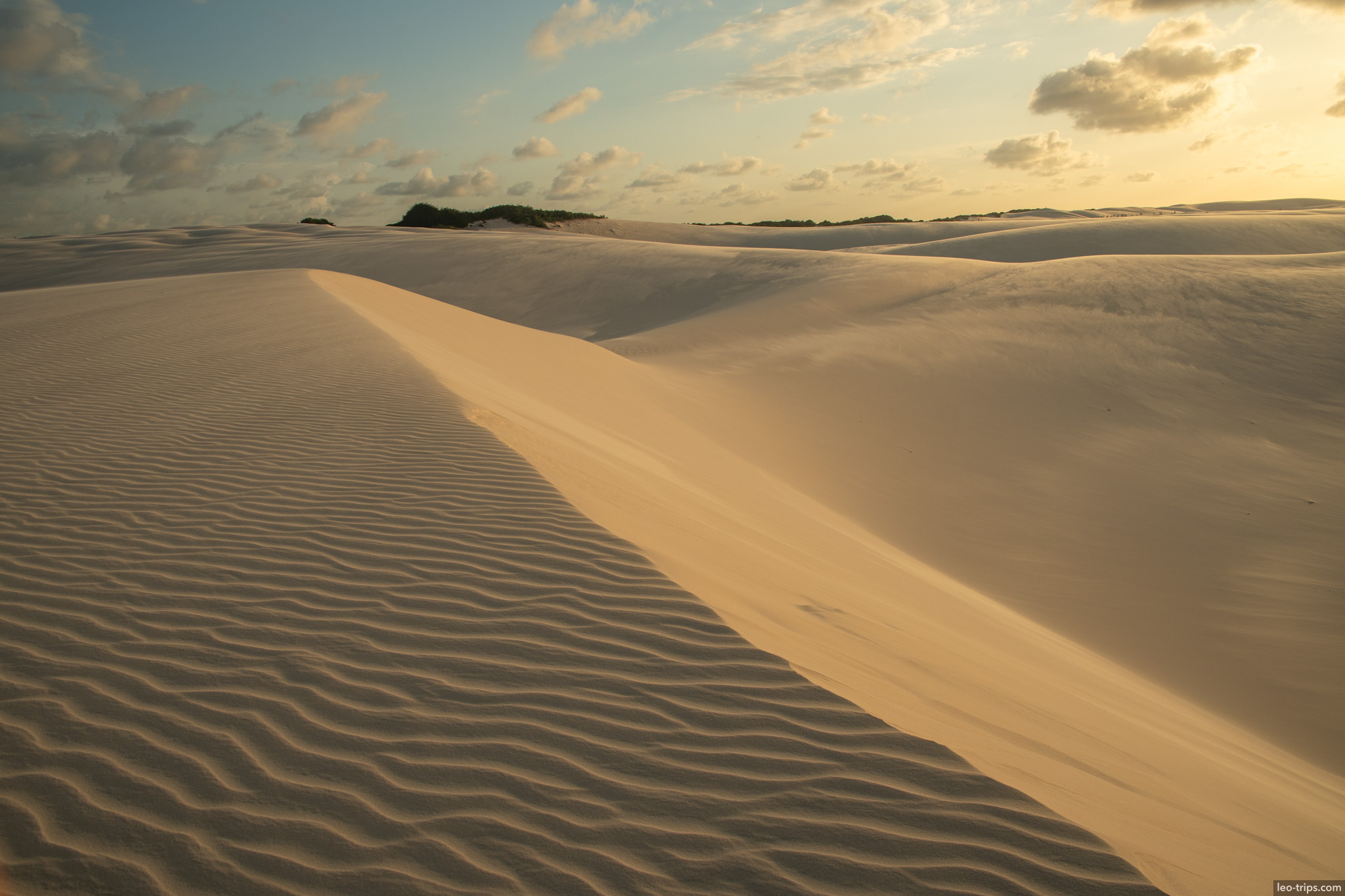 dune ridge sunset restinga lencois lencois maranhenses