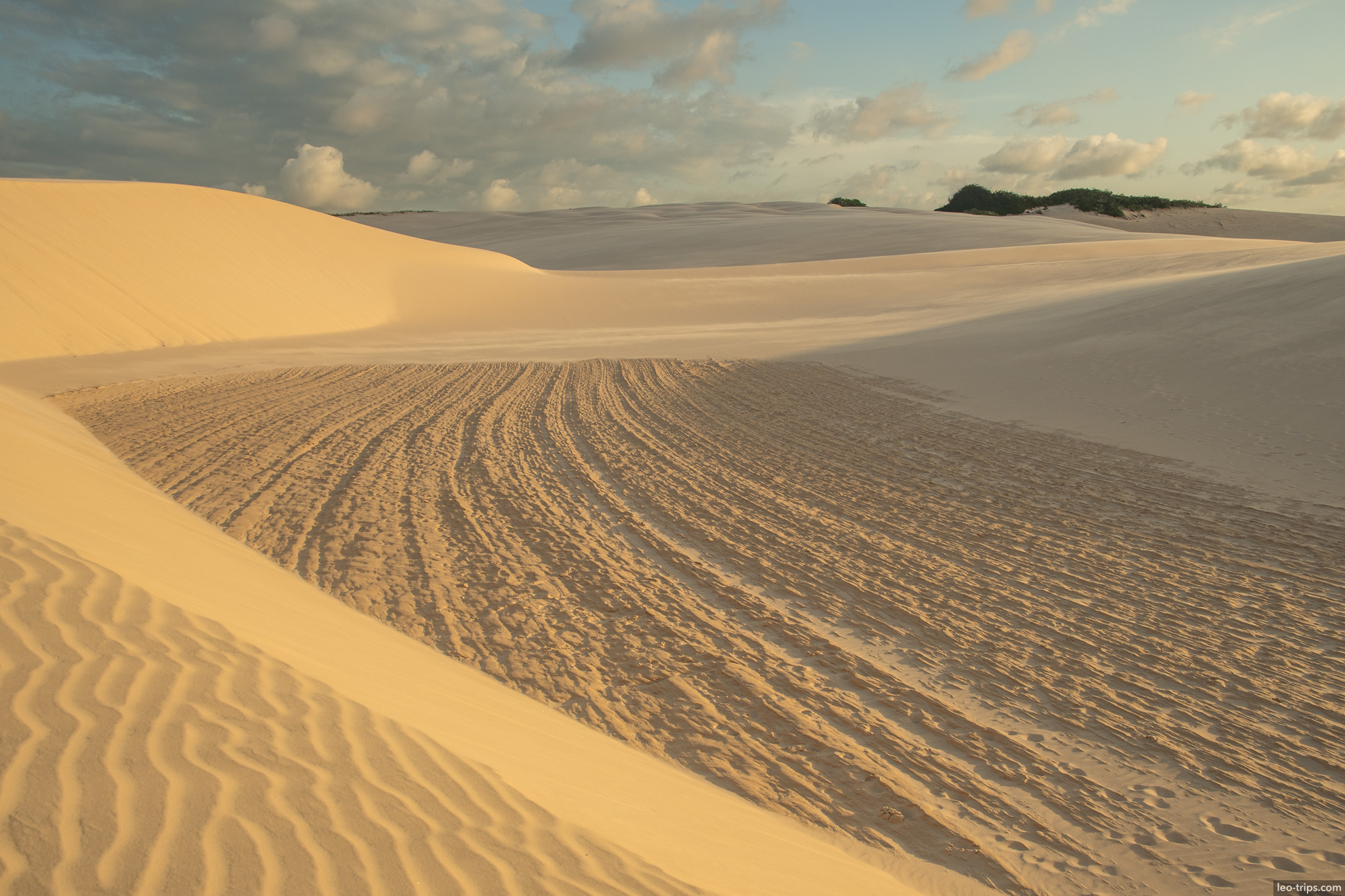 dune valley tire tracks vegetation lencois lencois maranhenses