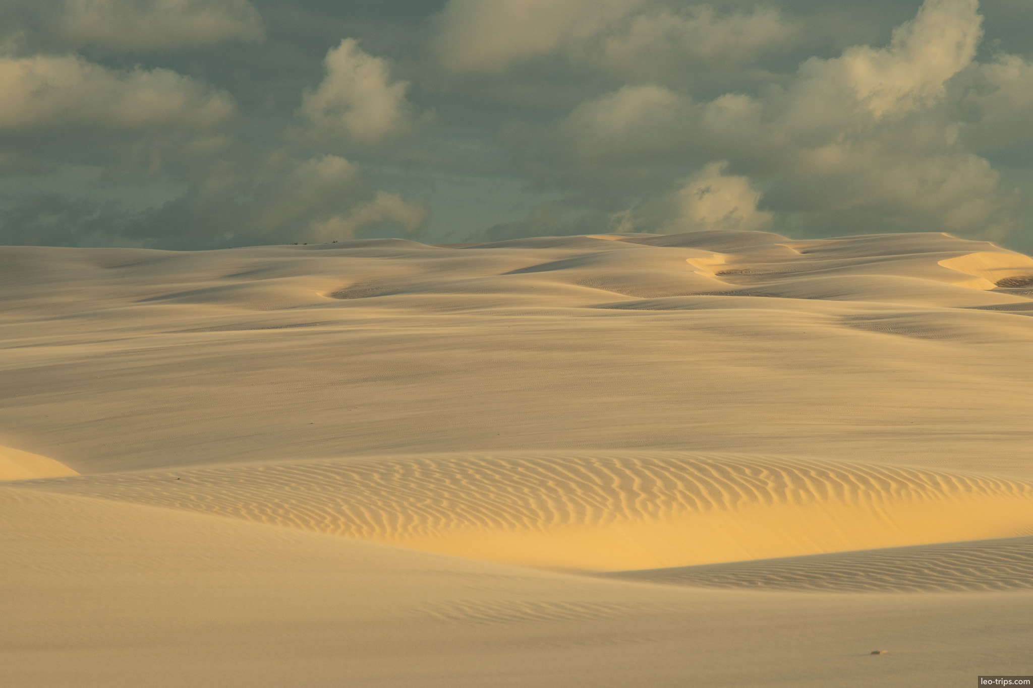 endless dunes golden ripples lencois lencois maranhenses
