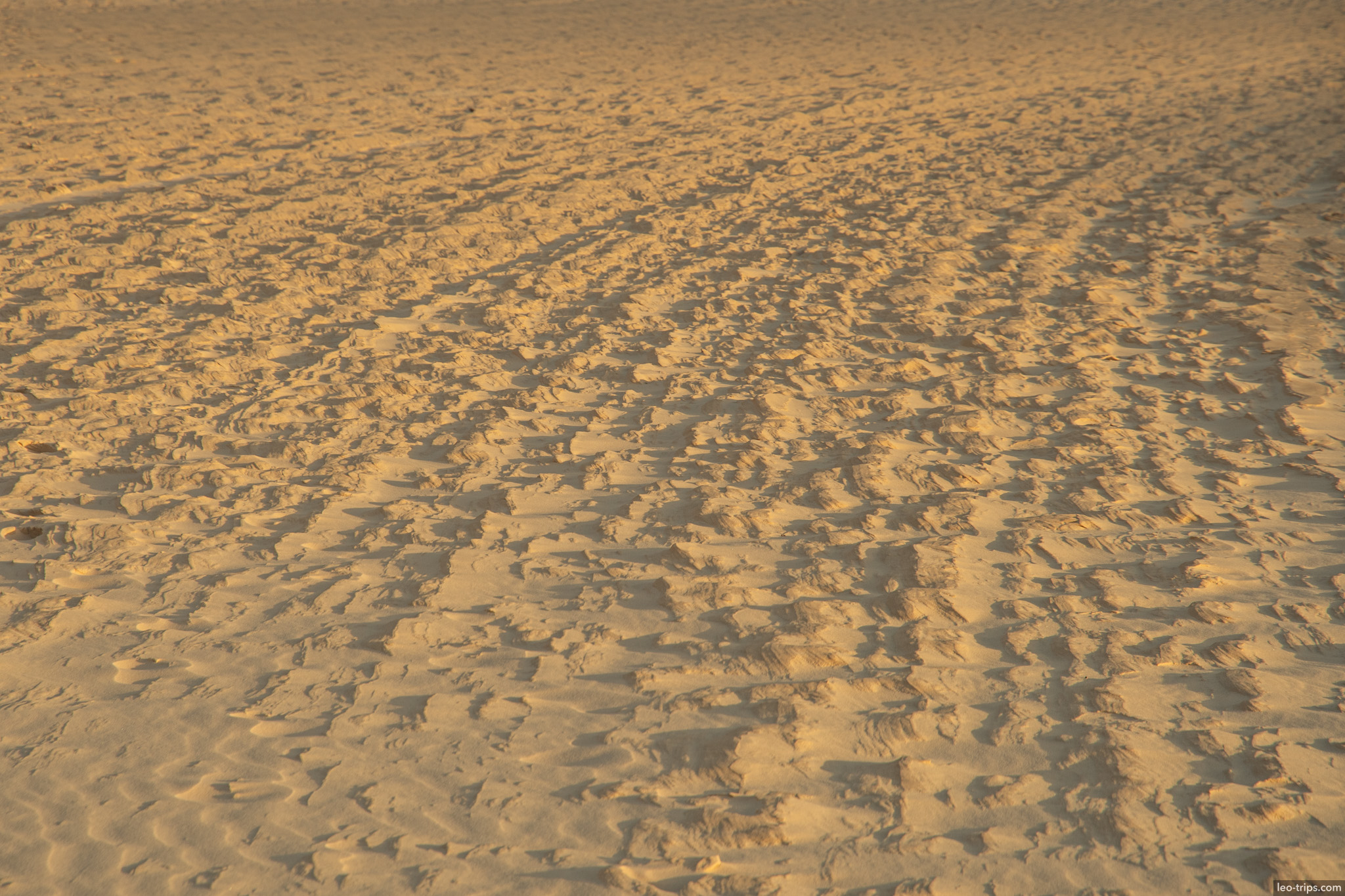 eroded sand texture low sun lencois lencois maranhenses