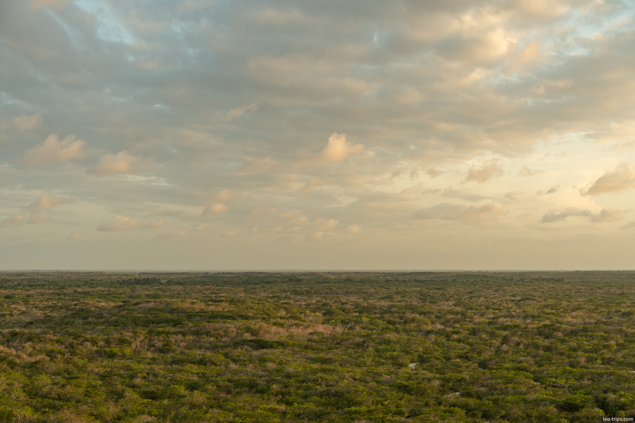 restinga scrubland panorama lencois lencois maranhenses