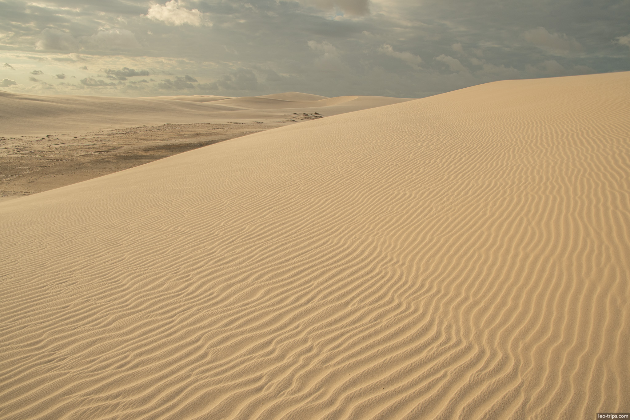 rippled sand dune overcast sky lencois lencois maranhenses