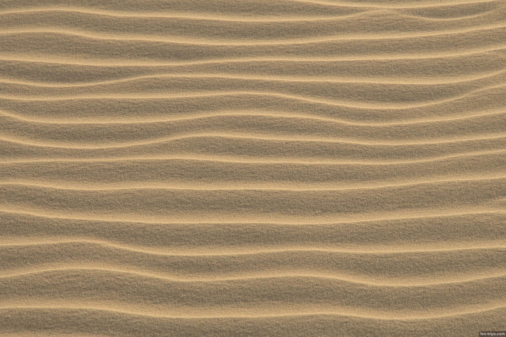sand ripple texture closeup