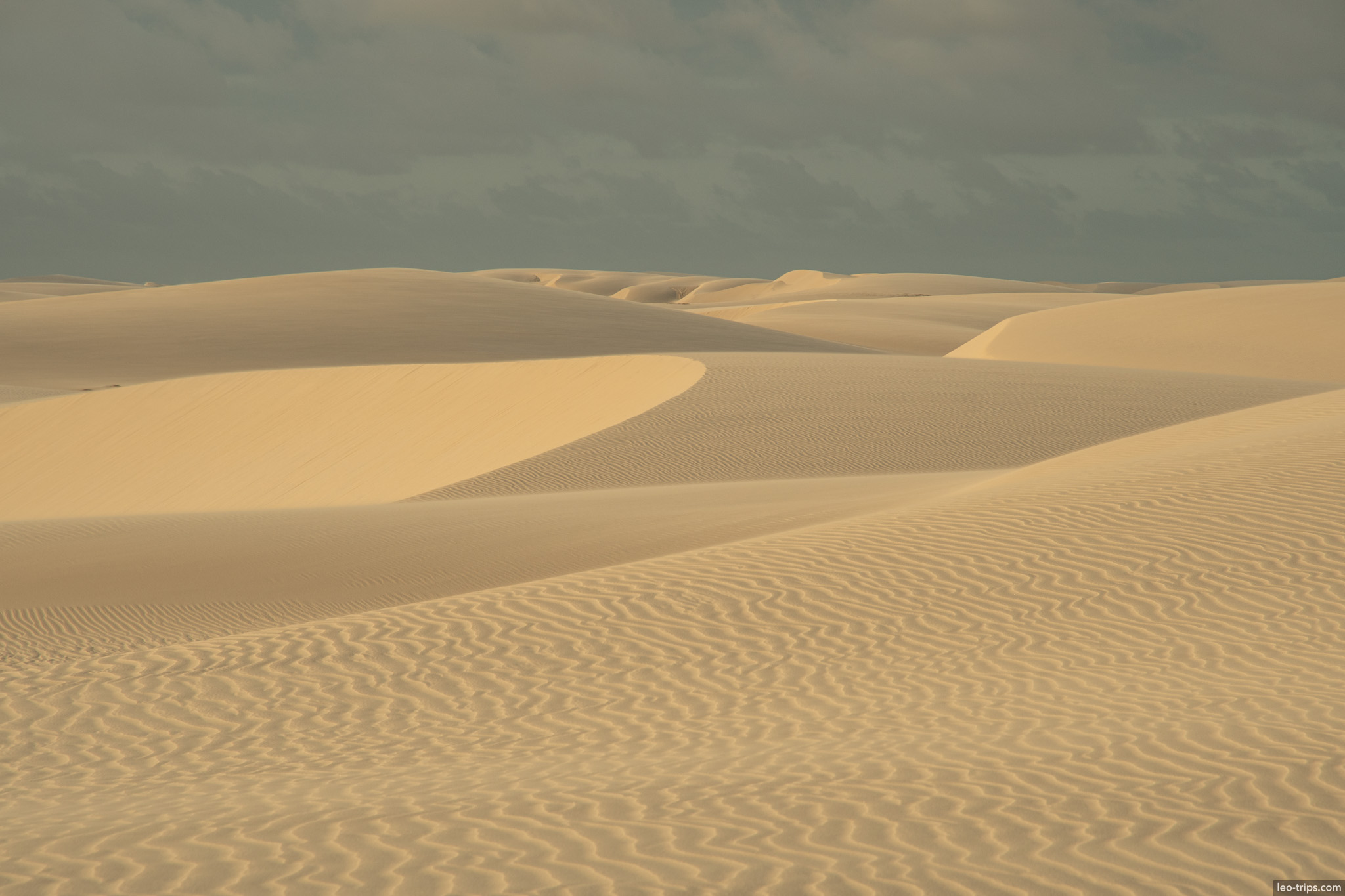 sculpted dunes soft evening light lencois lencois maranhenses