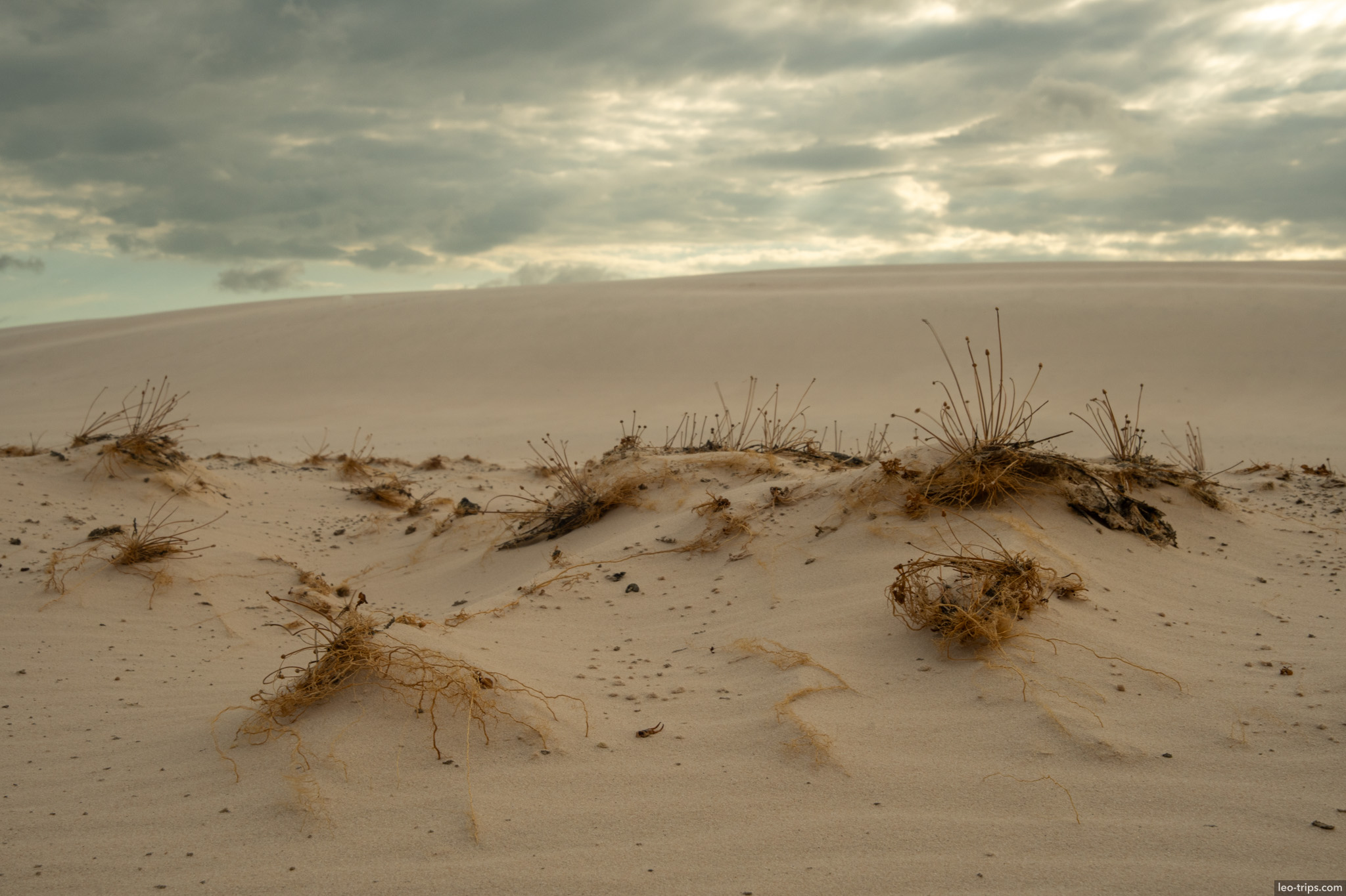 white sand dune dry grass cloudy sky lencois lencois maranhenses