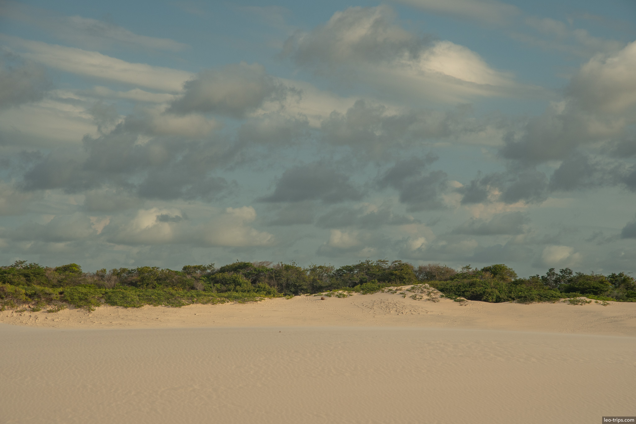 white sand dunes scrub vegetation horizon lencois lencois maranhenses