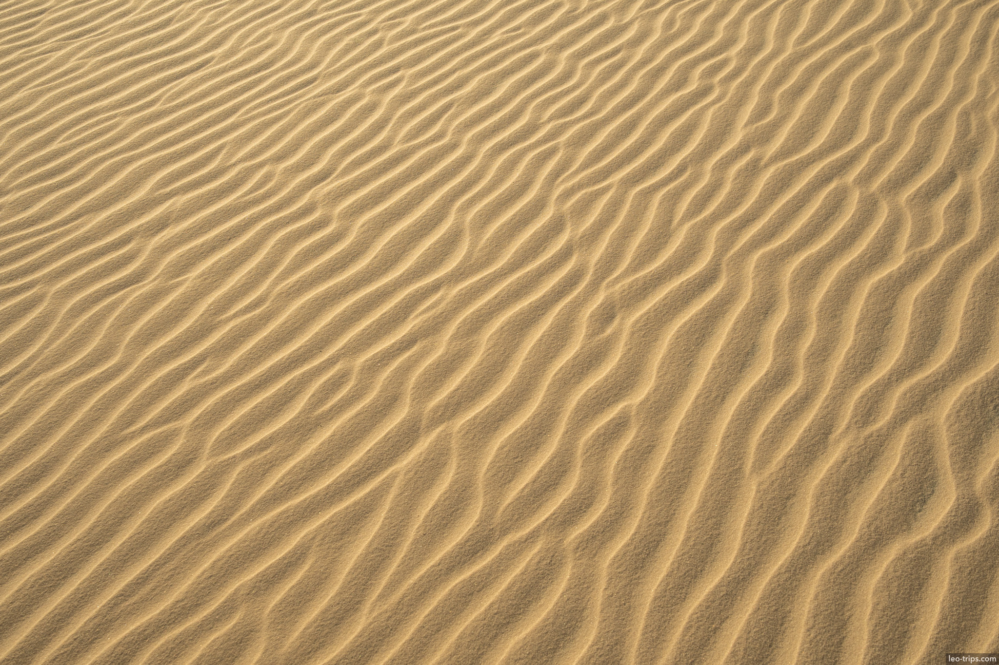 wind rippled sand texture close up lencois lencois maranhenses