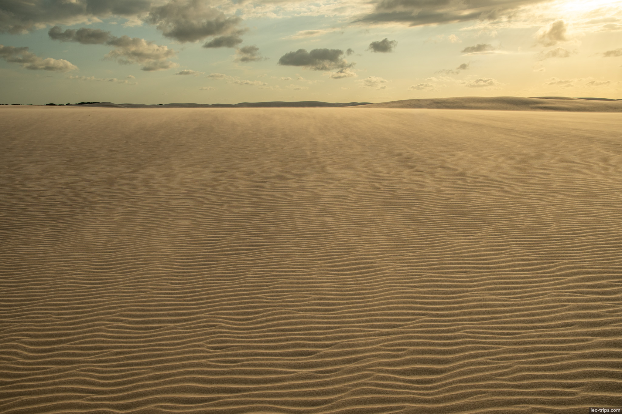 wind ripples vast sand field sunset lencois lencois maranhenses