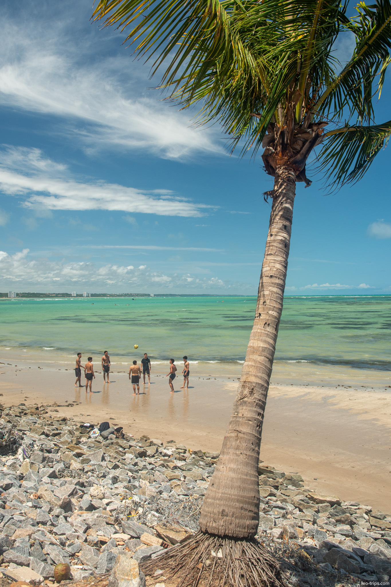 coconut palm and beach football rocky shore maceio
