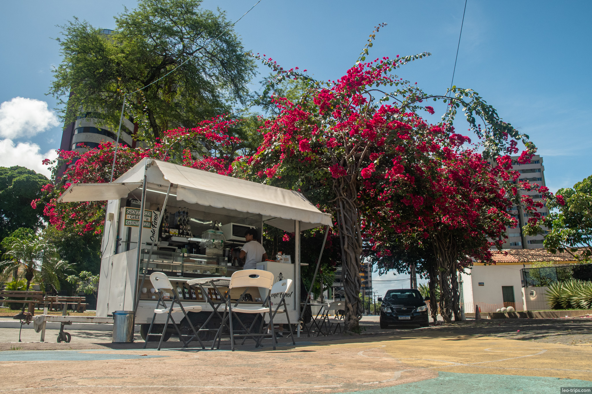 coffee kiosk with blooming bougainvillea plaza maceio