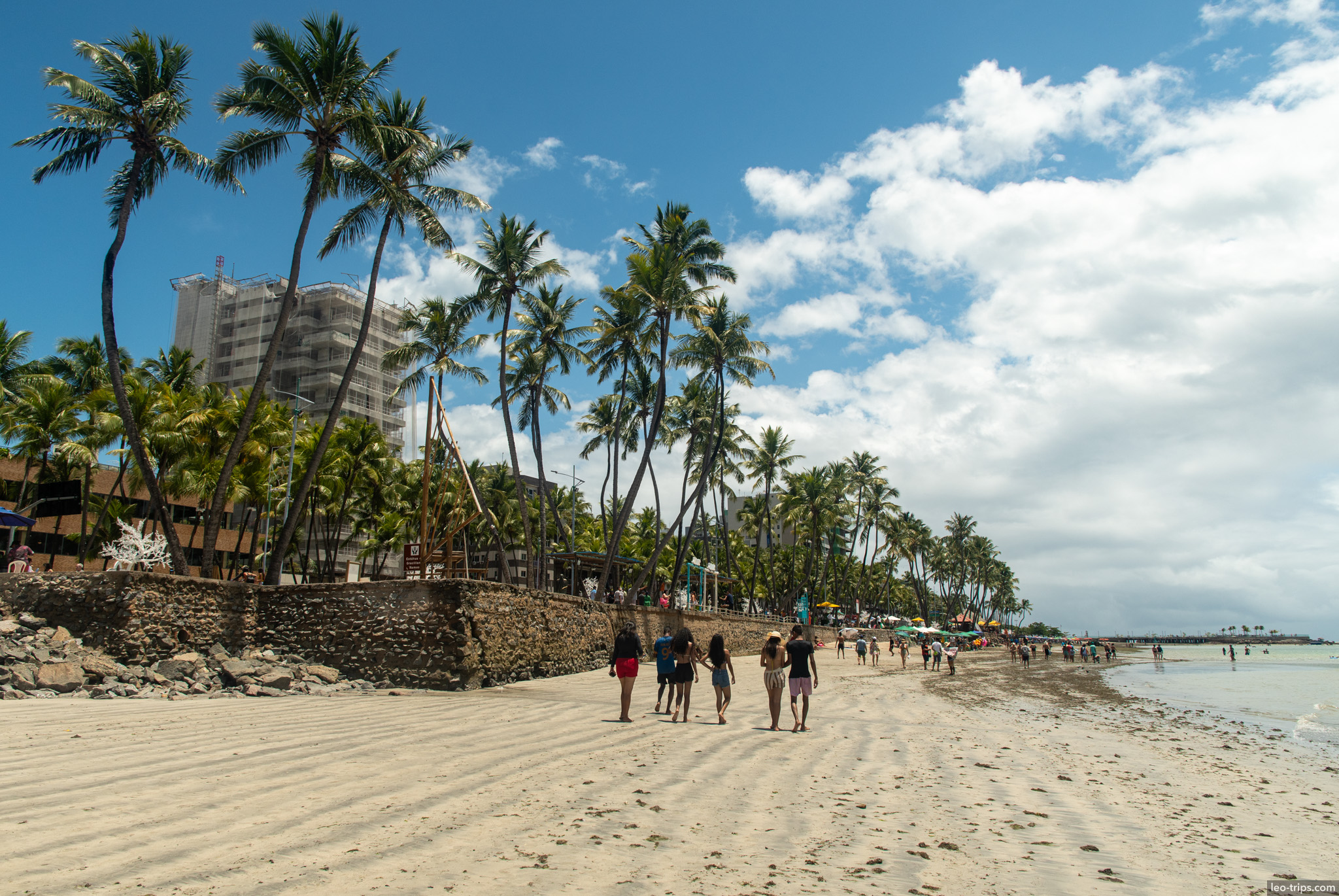 maceio beach palms and stone promenade wall maceio