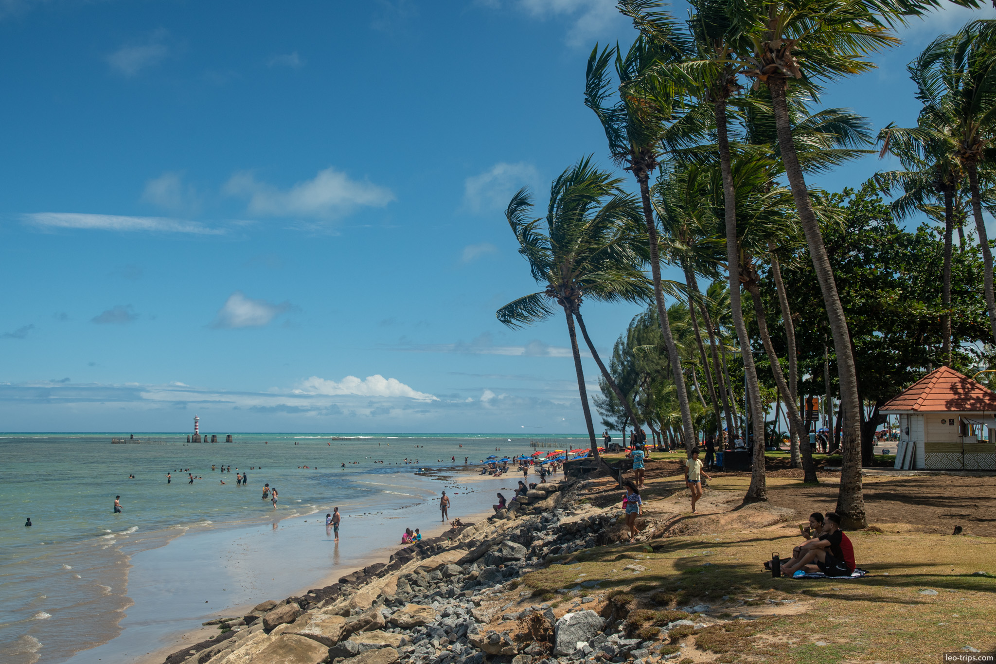 maceio beach palms with lighthouse in distance maceio