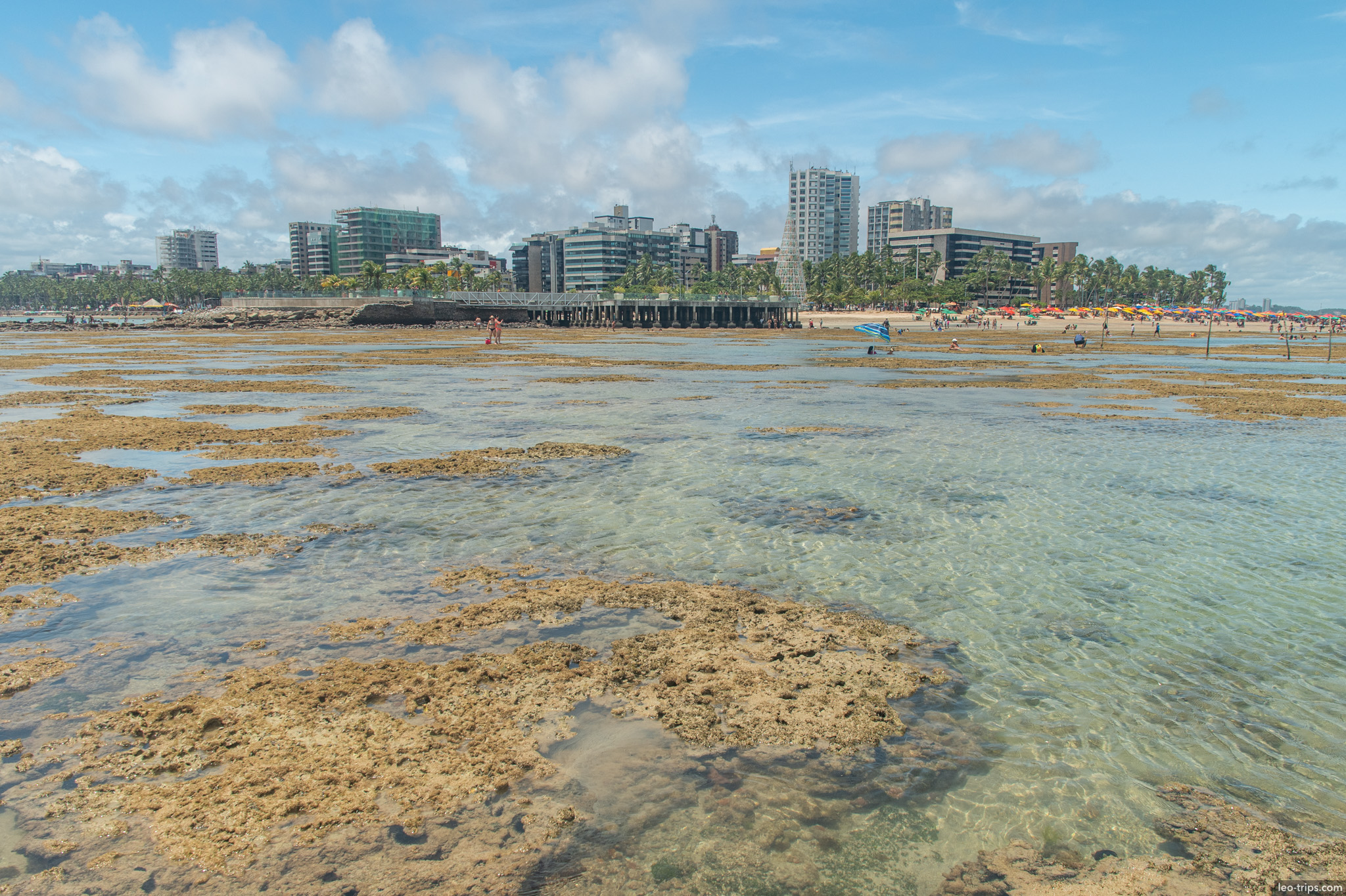 reef flat and maceio beachfront buildings maceio