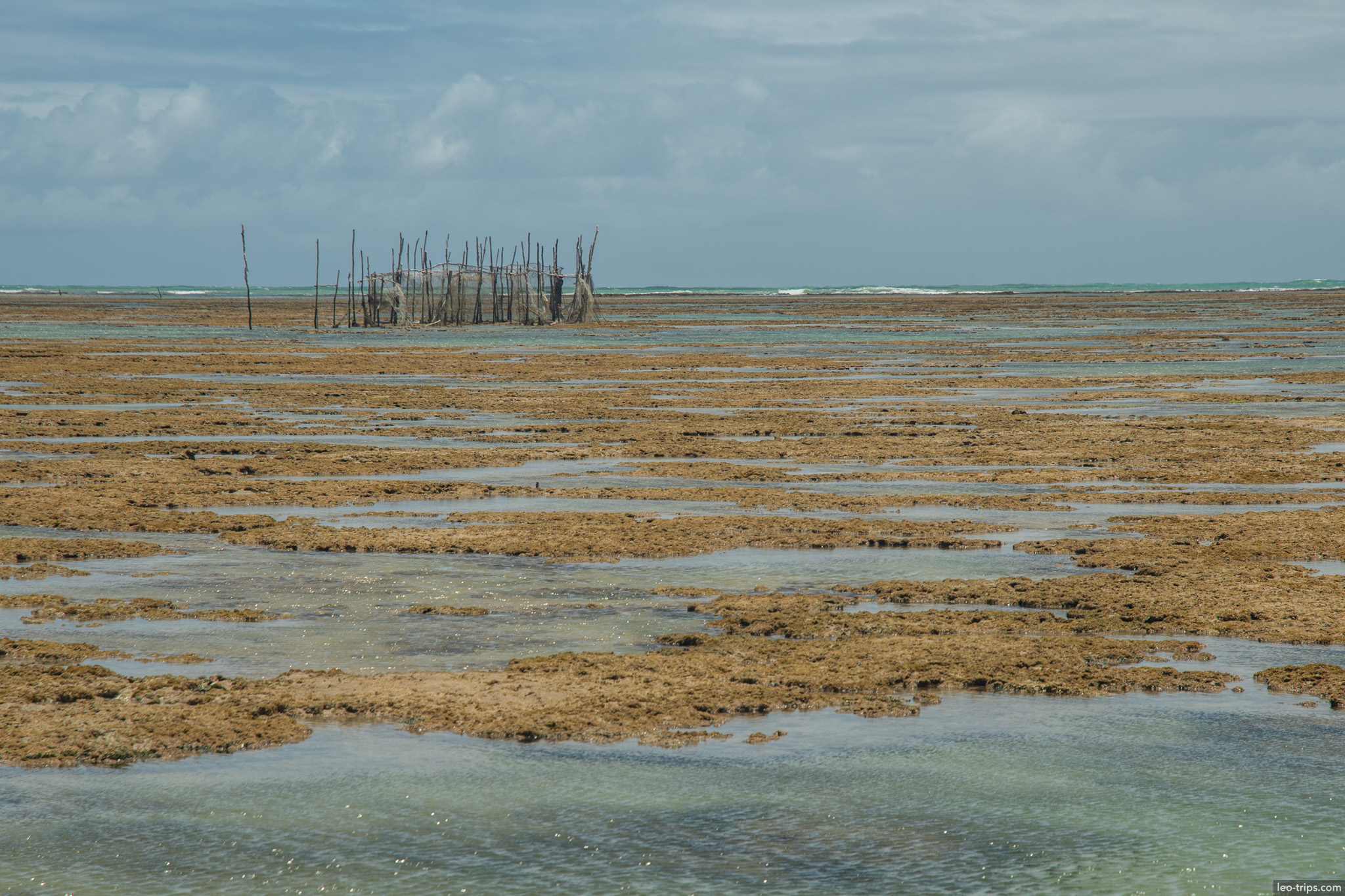 reef flat at low tide with fish trap maceio
