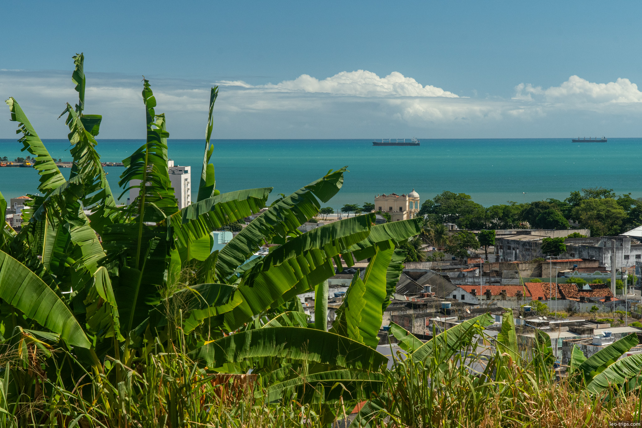 view over maceio rooftops and sea with ships maceio