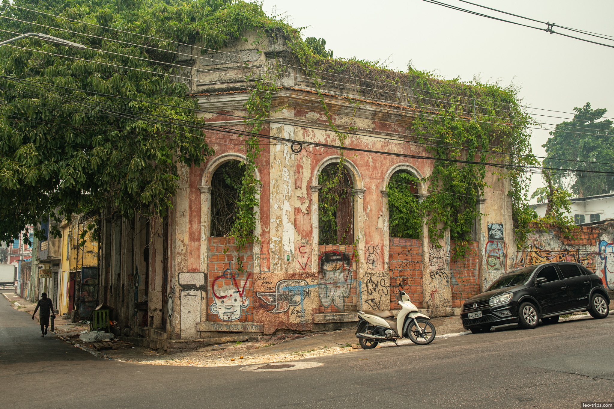 The ruins of an abandoned historic building being reclaimed by nature, with trees and vines growing through the crumbling walls