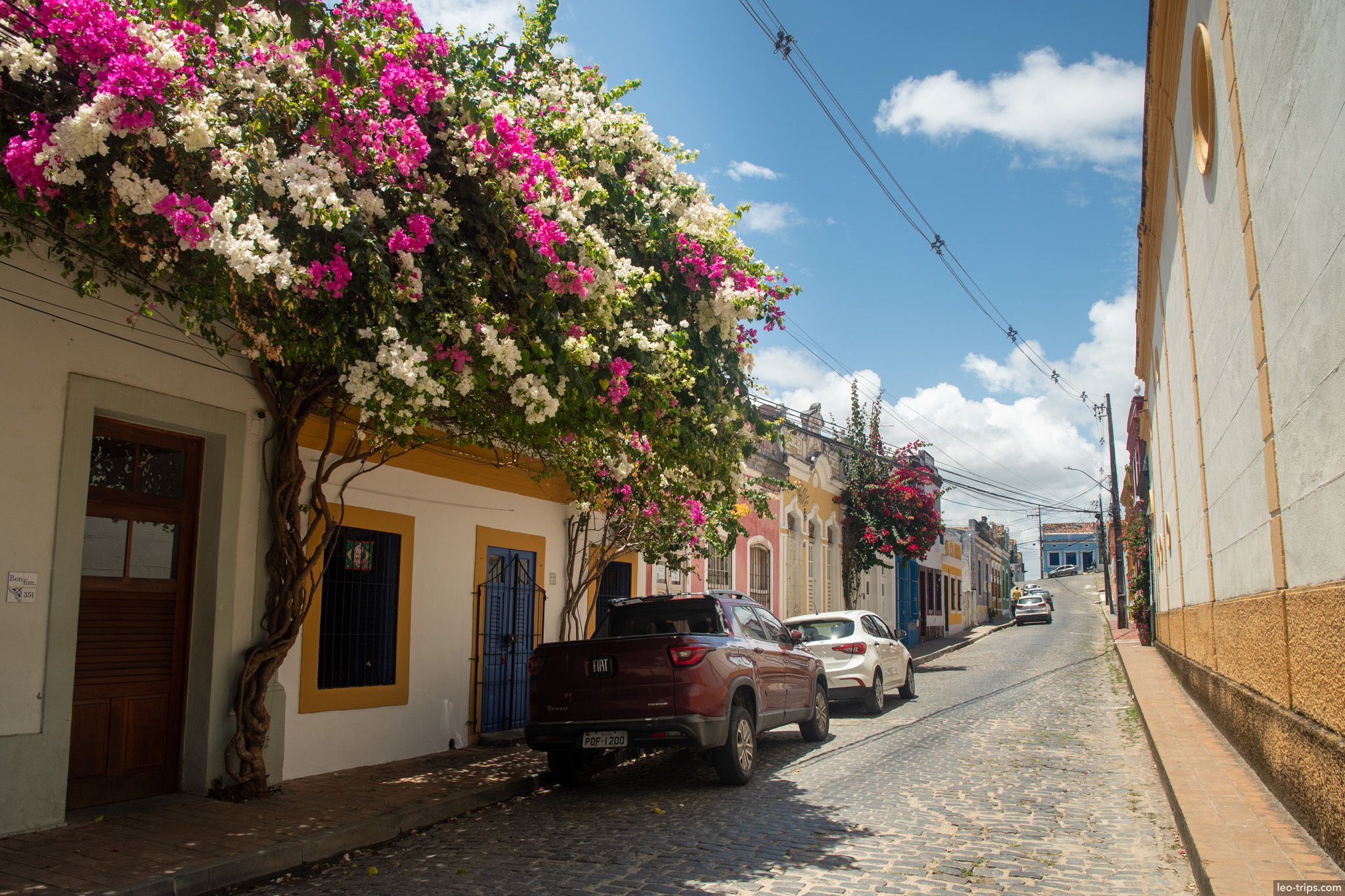 cobblestone street bougainvillea colonial houses olinda olinda