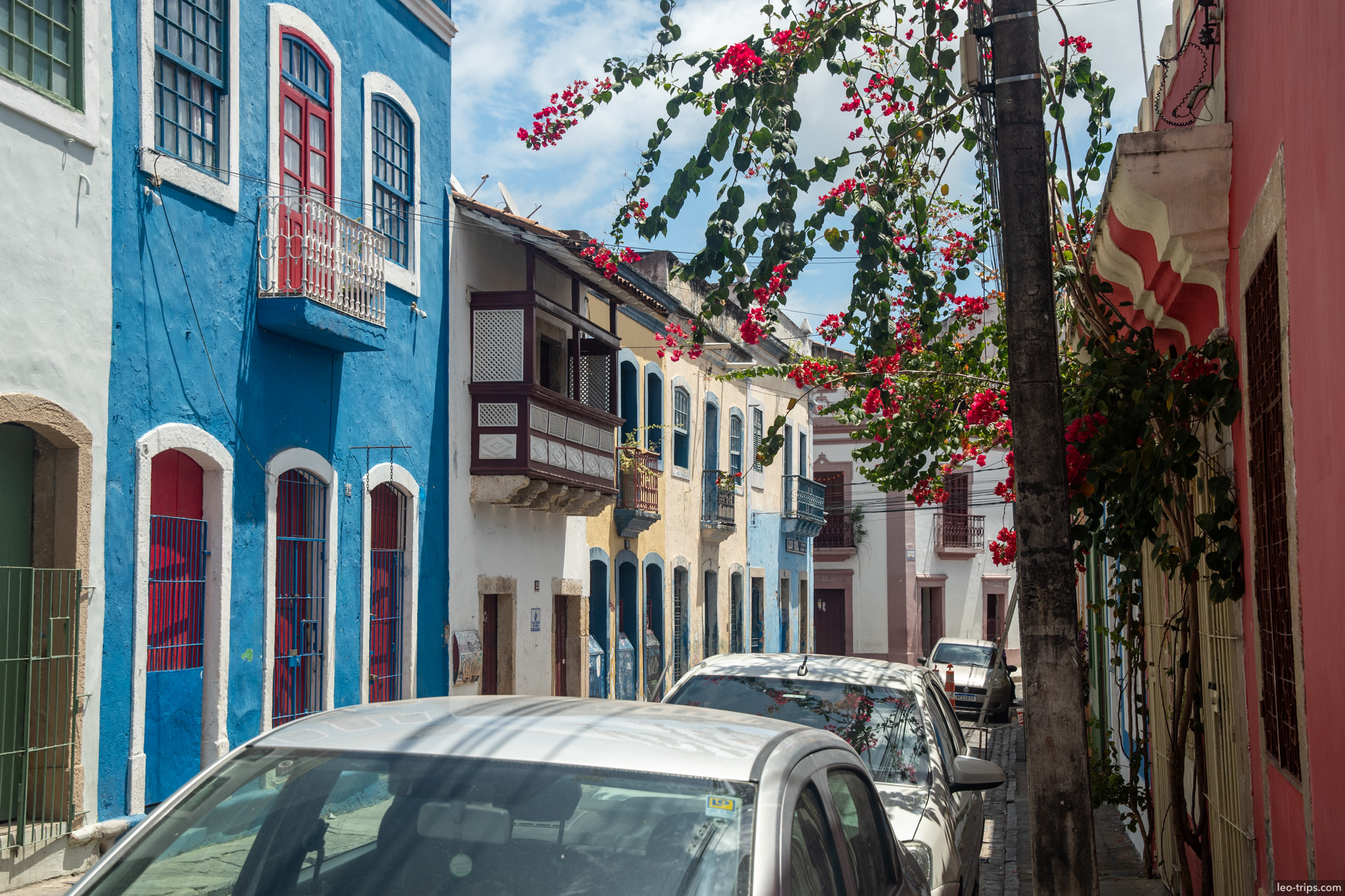 colorful colonial street blue building bougainvillea olinda olinda