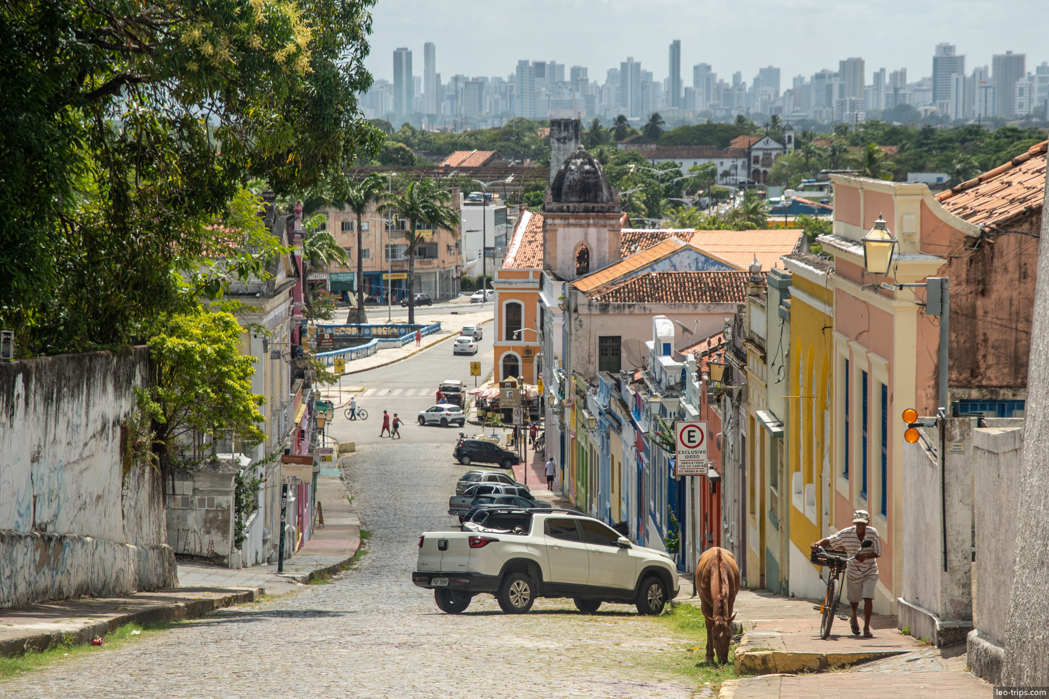 downhill cobblestone street horse recife skyline olinda olinda