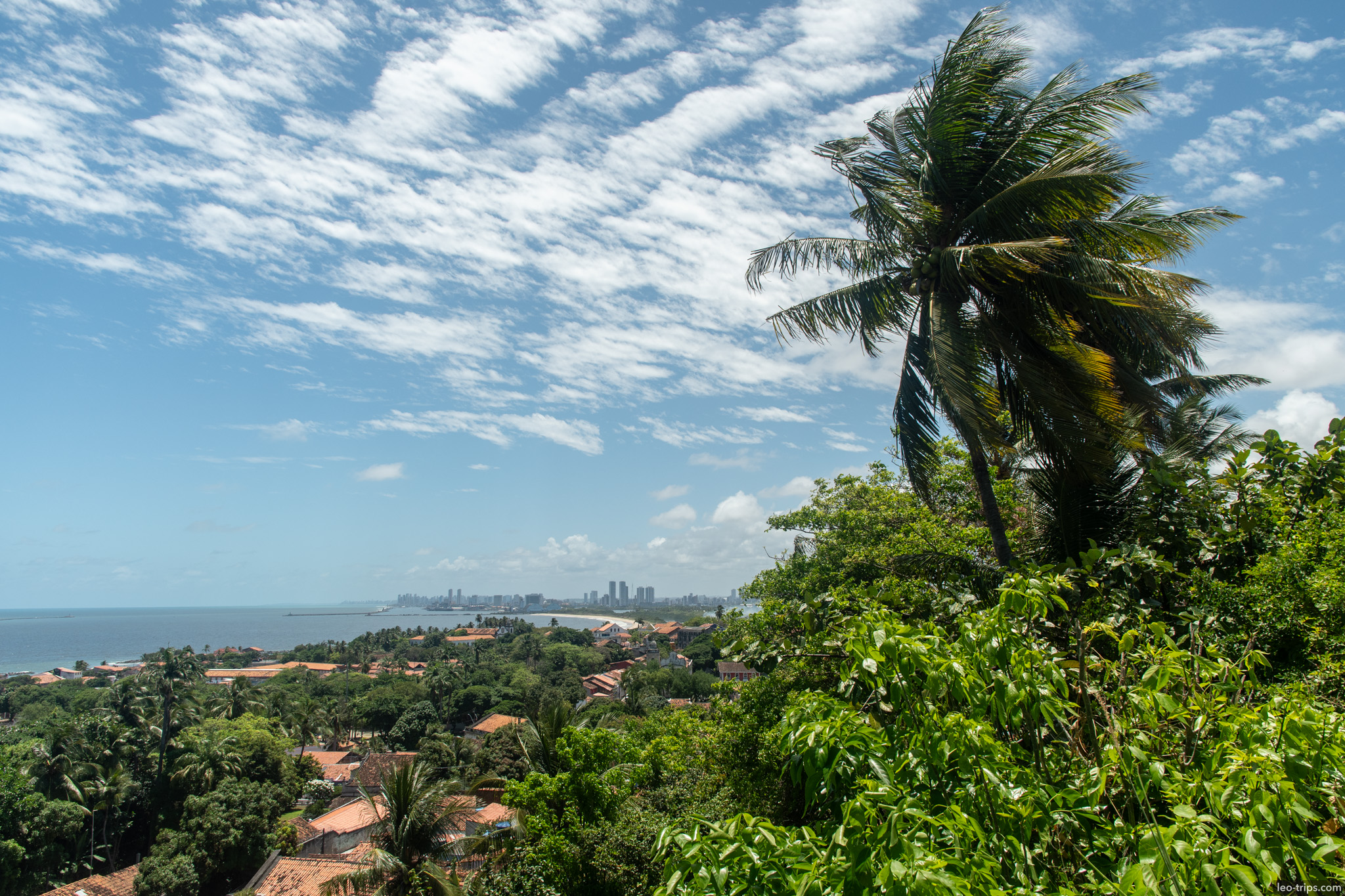 panoramic view coastline and recife skyline from olinda hill olinda