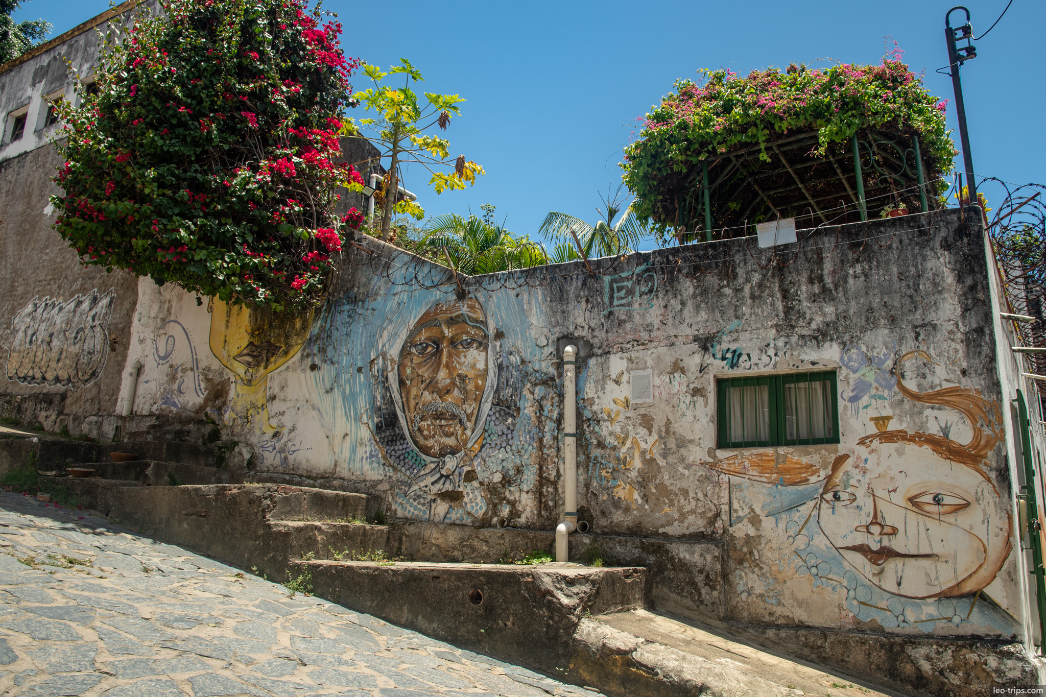 street art murals with bougainvillea cobblestone steps olinda olinda