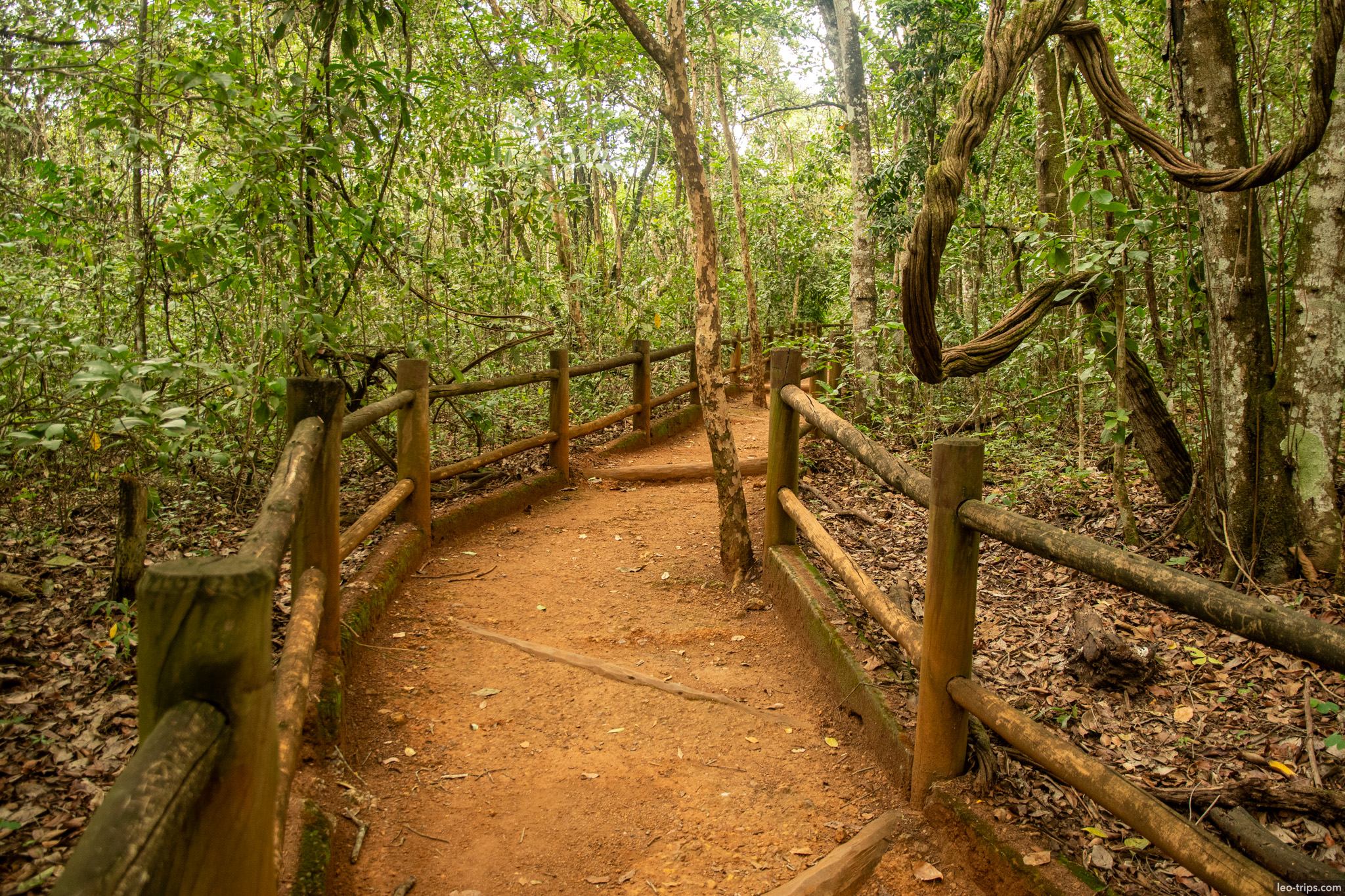 fenced nature trail through gallery forest brasilia national park parque nacional de brasilia