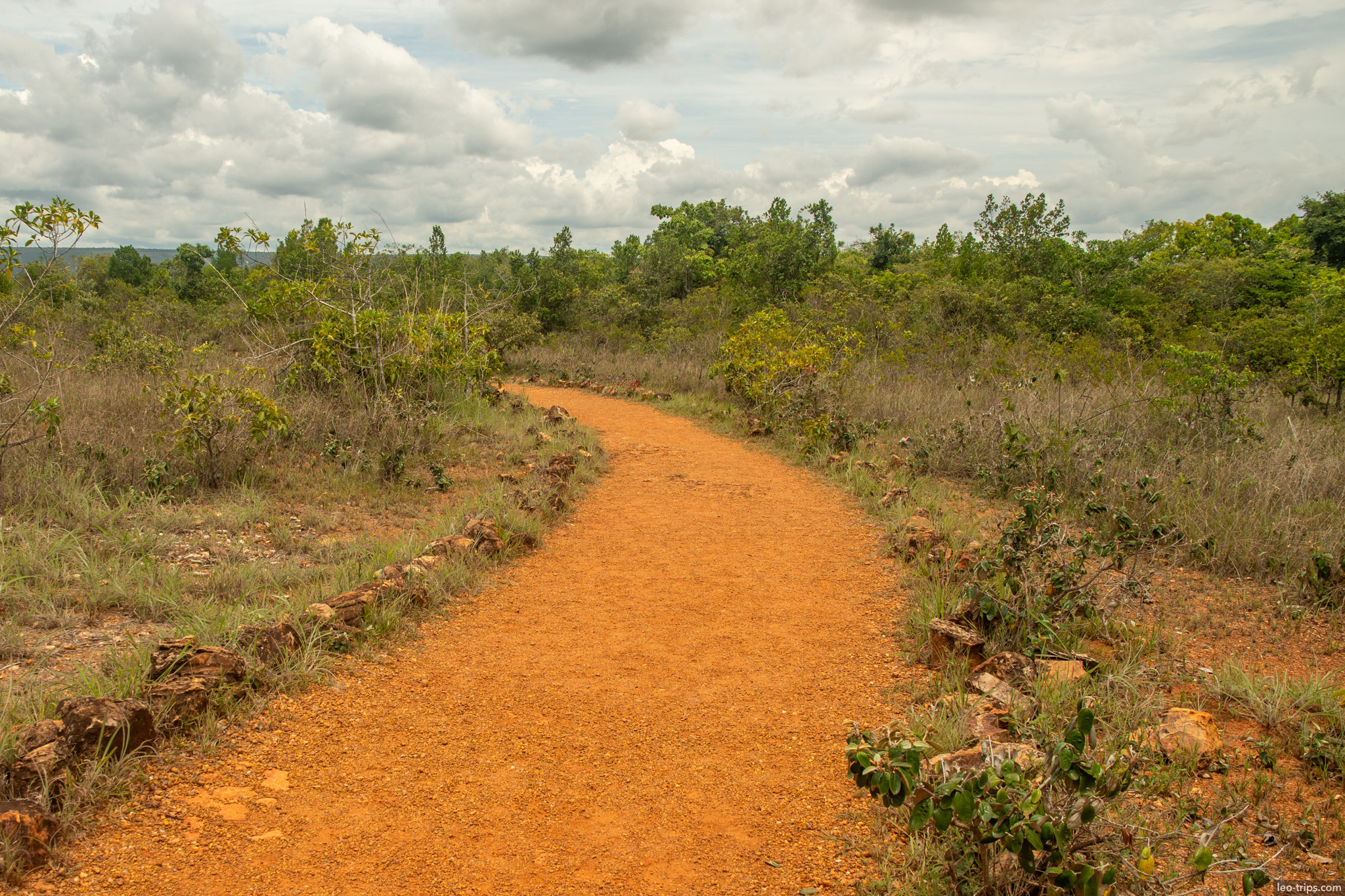 red dirt hiking trail through cerrado parque nacional de brasilia