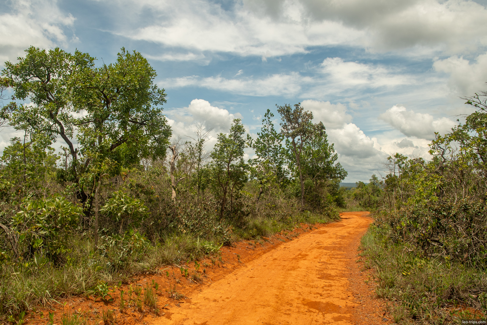 red dirt road through cerrado savanna parque nacional de brasilia