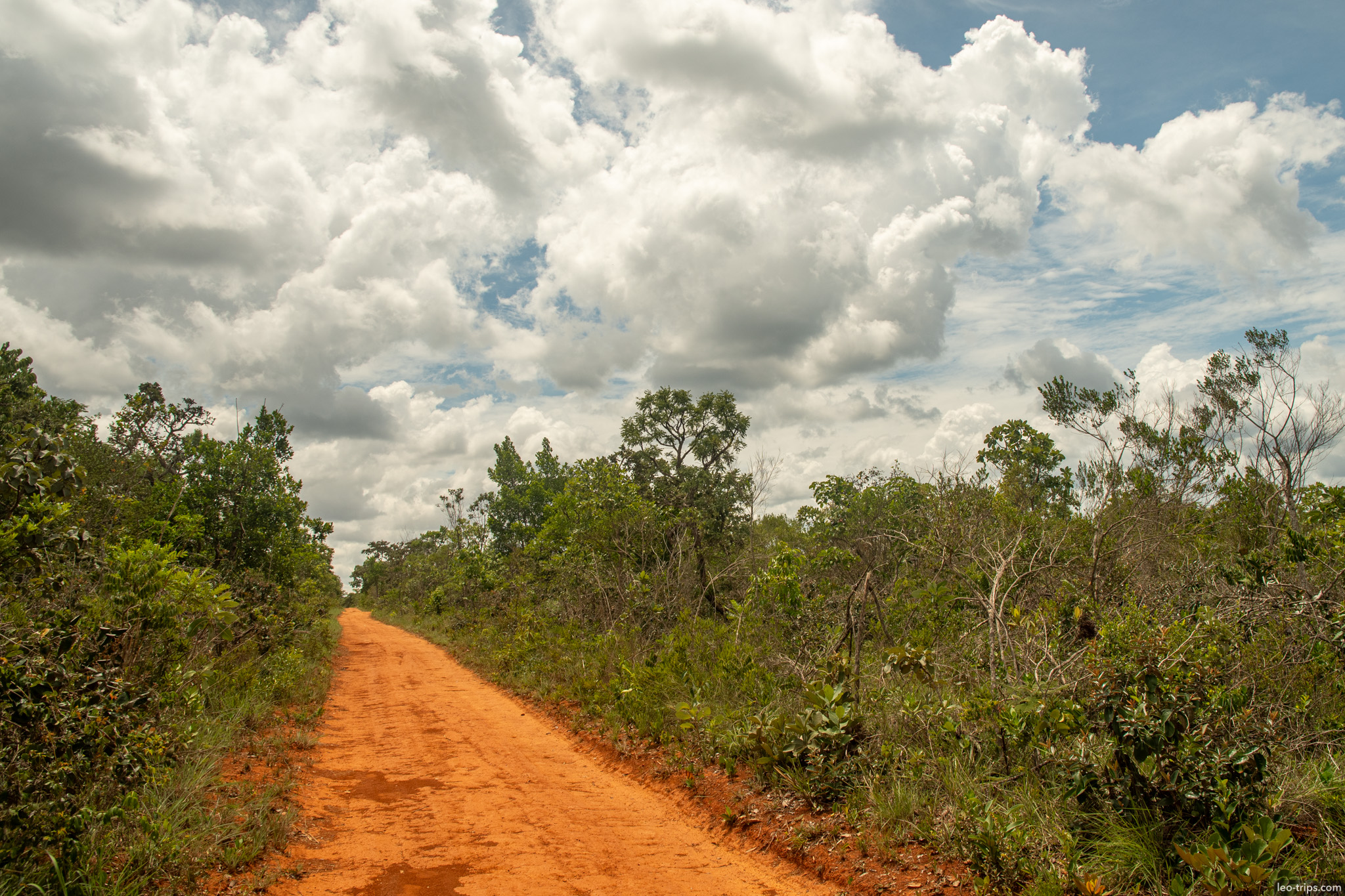 red dirt road under cumulus clouds cerrado parque nacional de brasilia