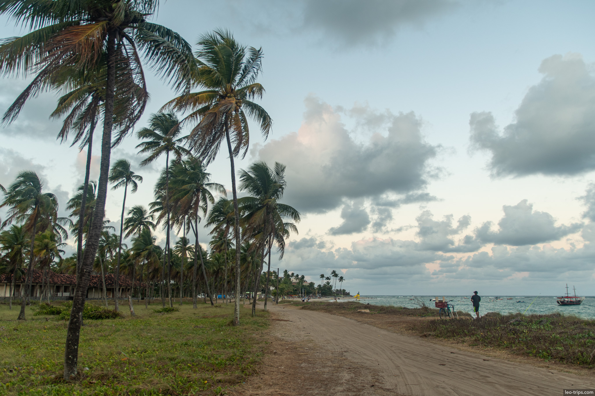 coastal sandy road palms and sea porto de galinhas