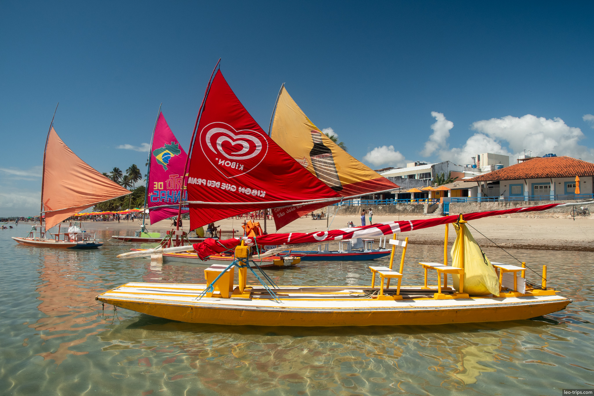 colorful jangadas moored in clear shallow water porto de galinhas