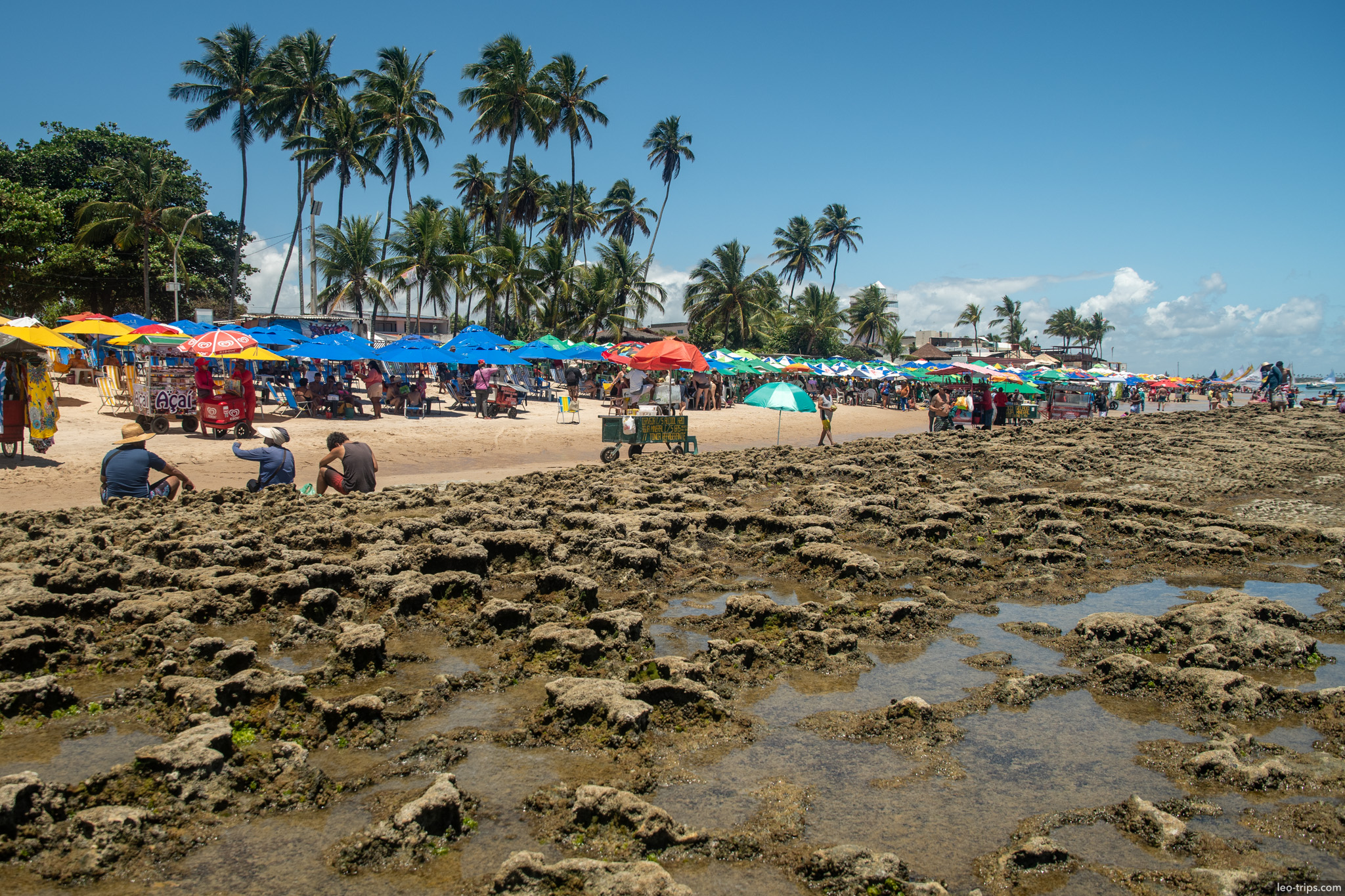 exposed reef rocks and busy beach porto de galinhas