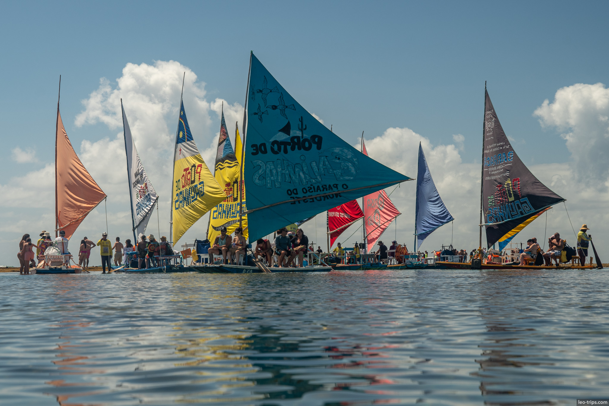 jangada fleet colorful sails natural pools tour porto de galinhas