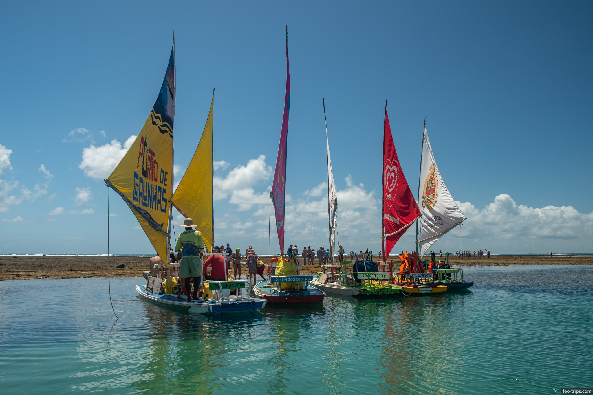 jangadas colorful sails on reef flat low tide porto de galinhas