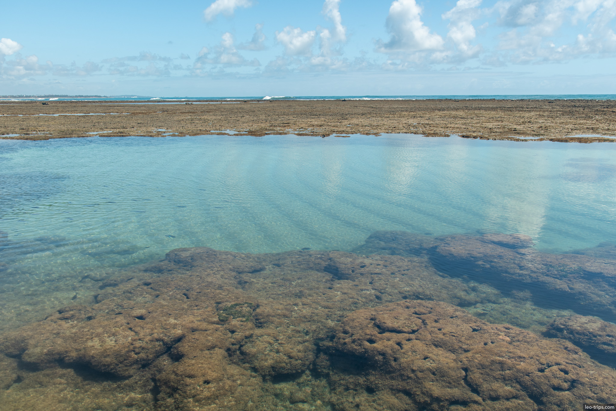 natural pool reef flat and ocean horizon porto de galinhas